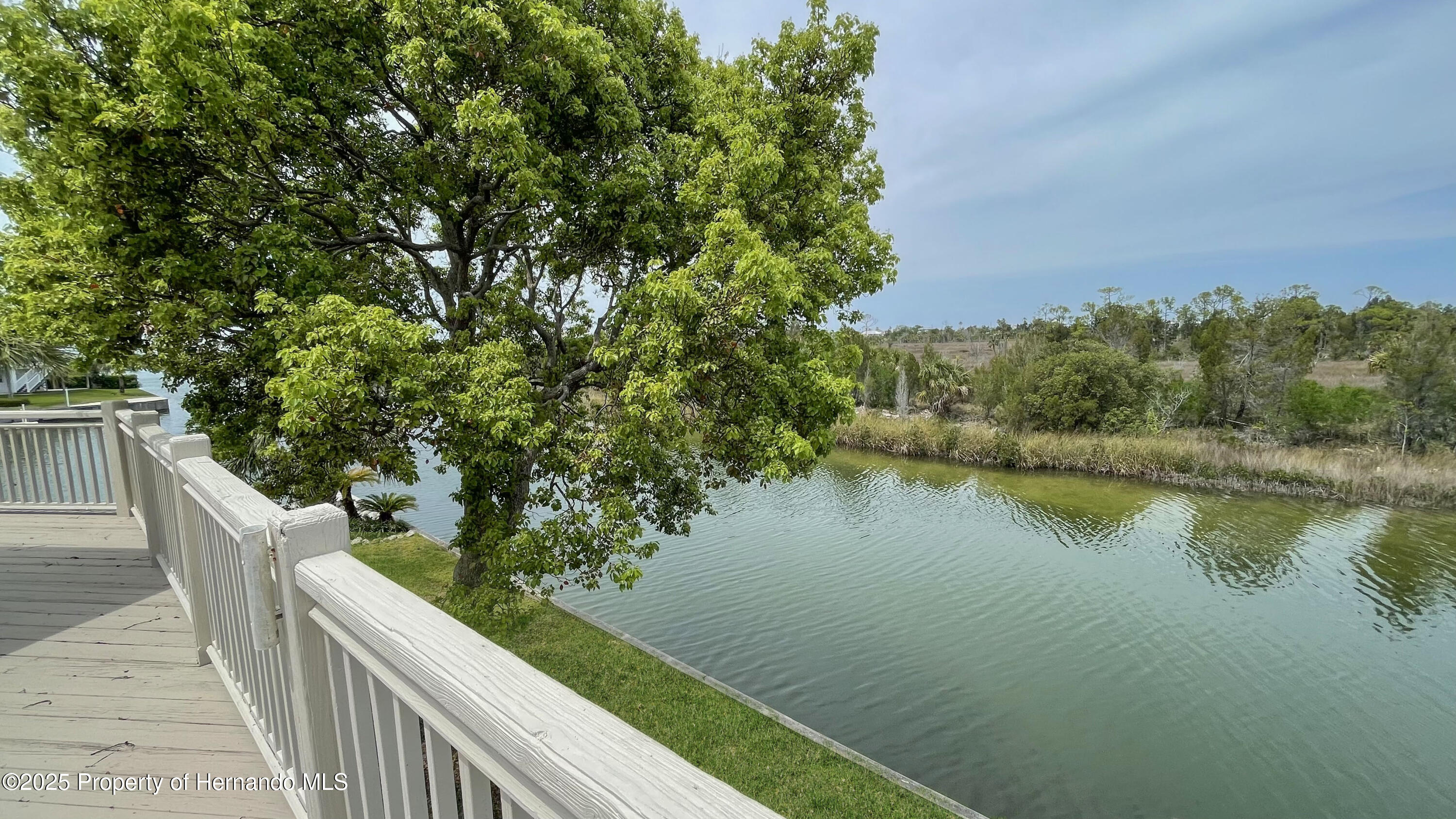 3415 Holly Springs Drive, HERNANDO BEACH, Florida image 21