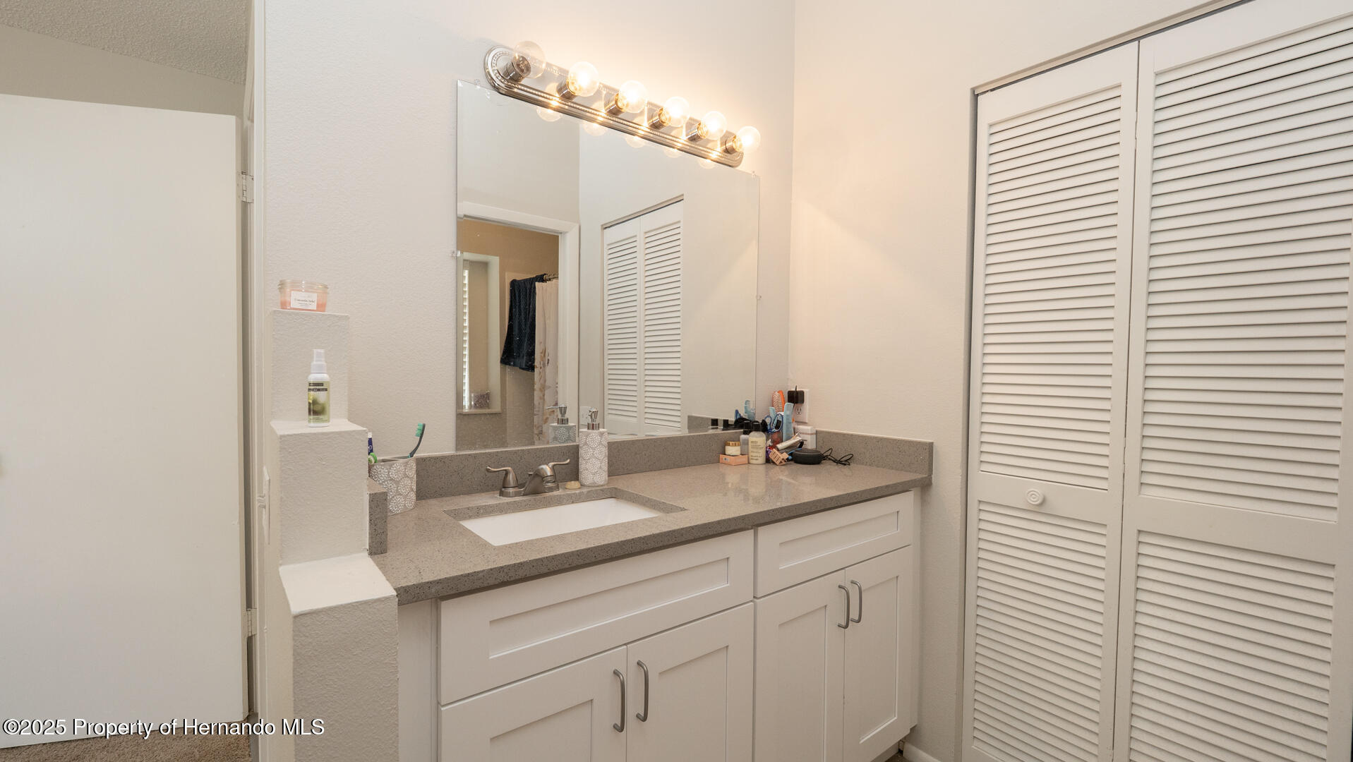 6309 Covewood Drive, Spring Hill, Florida image 18