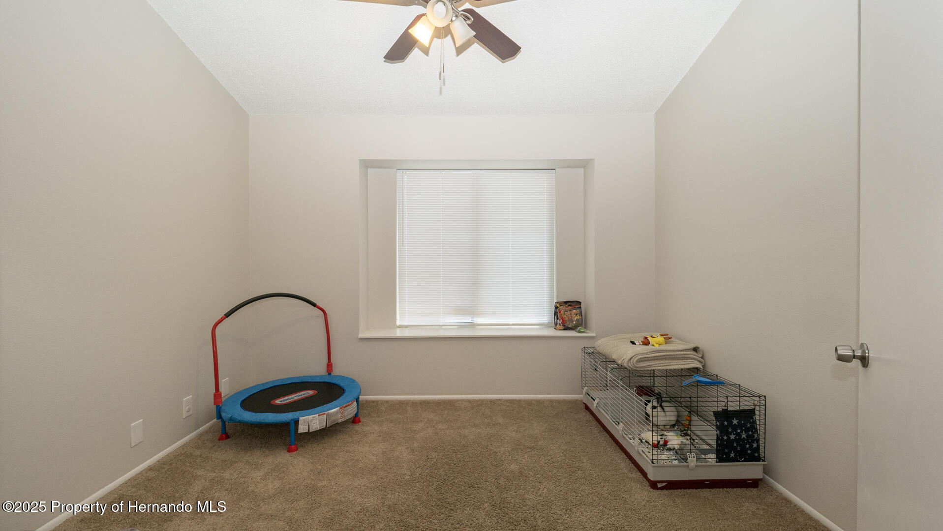 6309 Covewood Drive, Spring Hill, Florida image 20