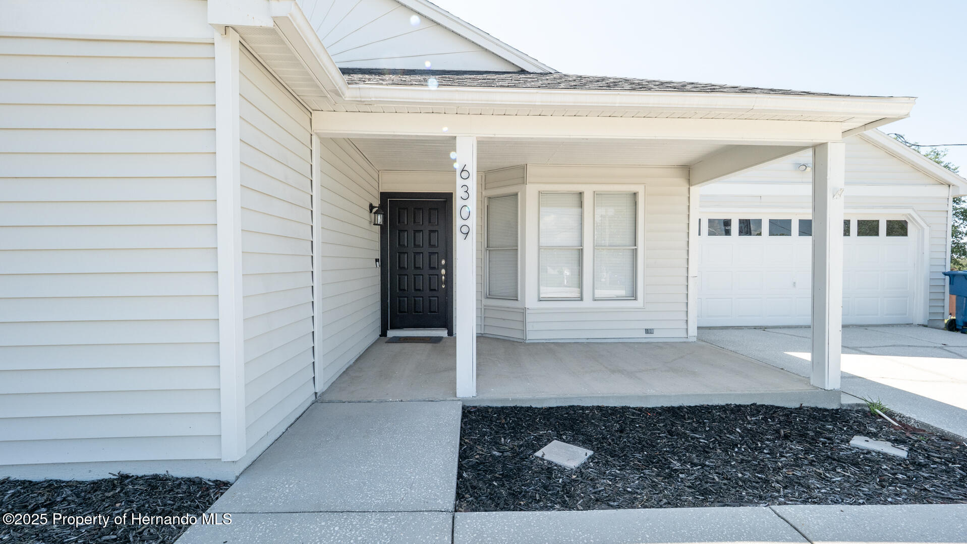 6309 Covewood Drive, Spring Hill, Florida image 29