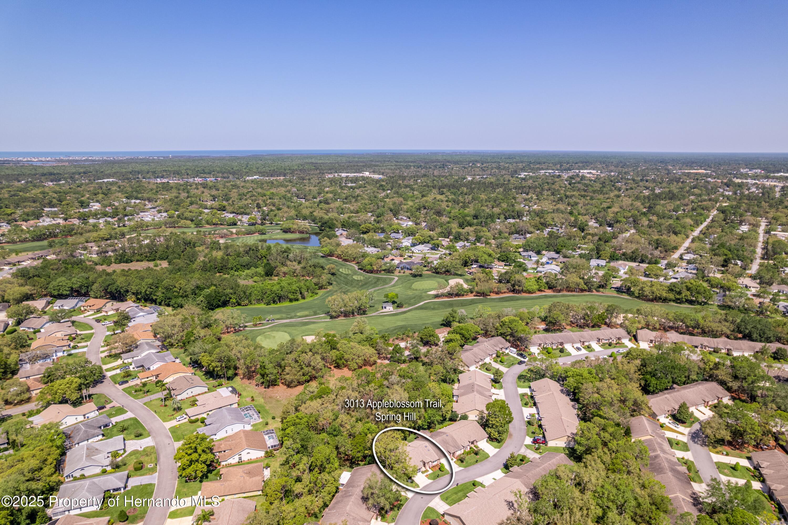 3013 Appleblossom Trail, Spring Hill, Florida image 15