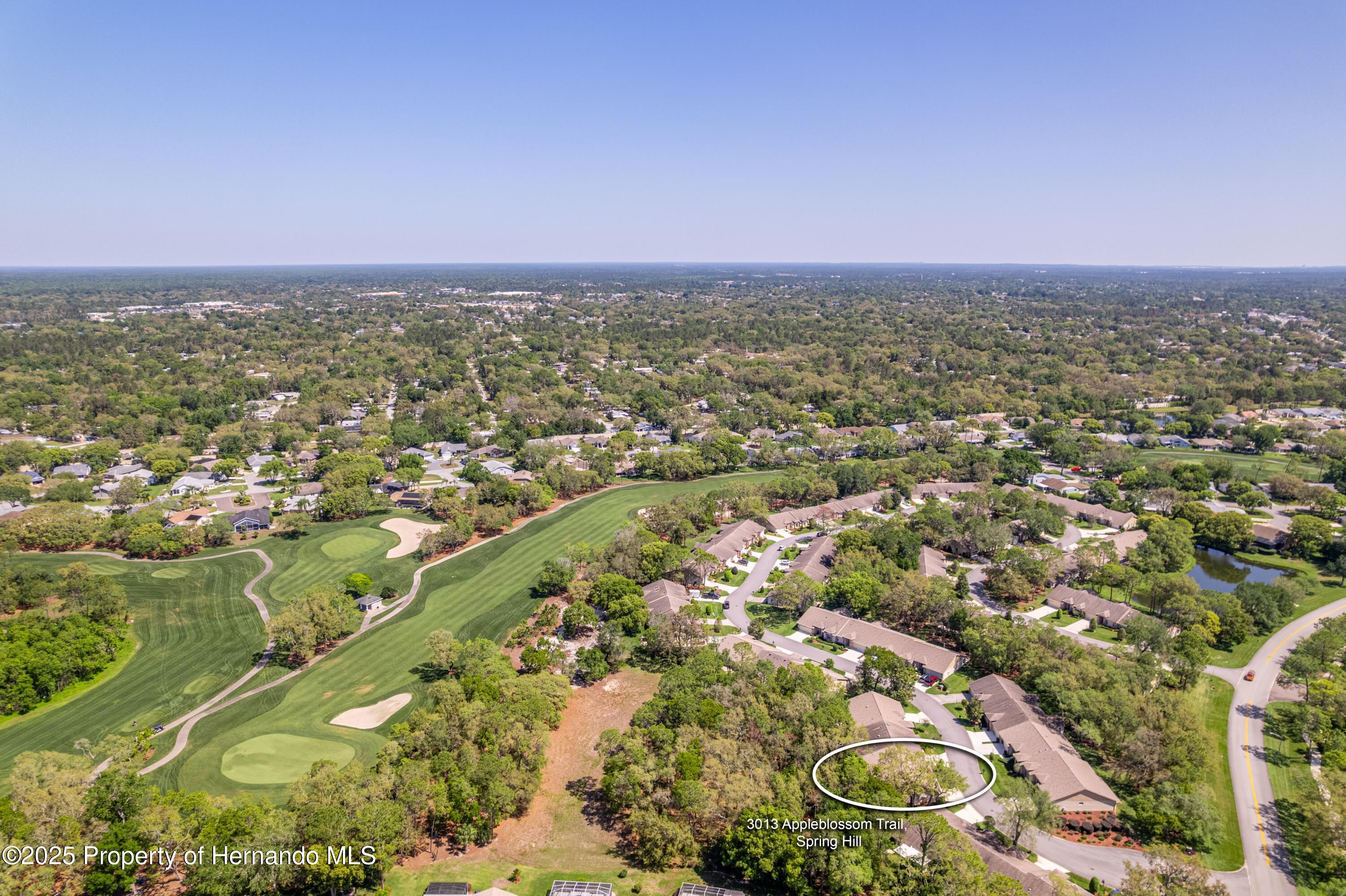 3013 Appleblossom Trail, Spring Hill, Florida image 28