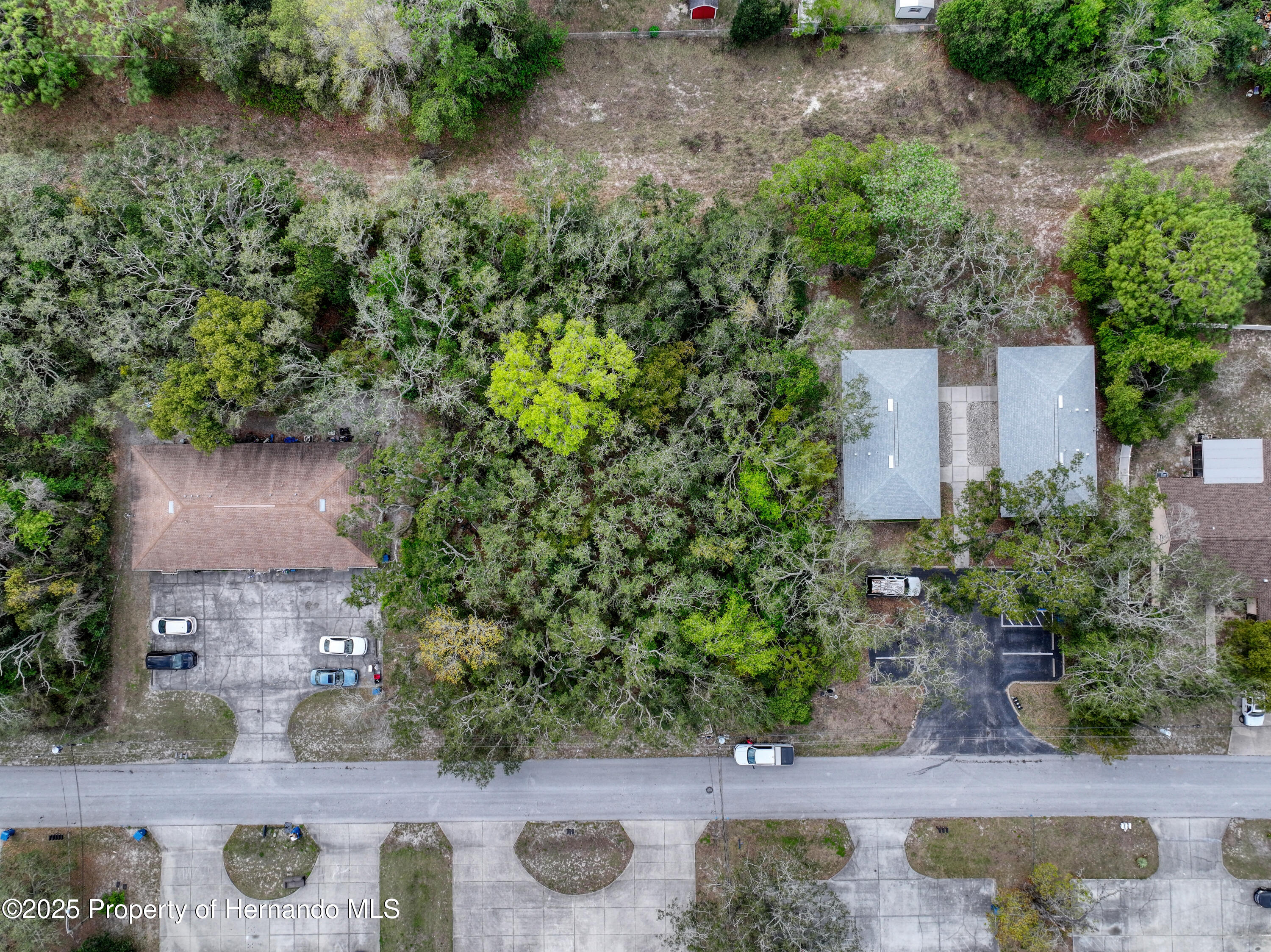Sylvia Avenue, Spring Hill, Florida image 3
