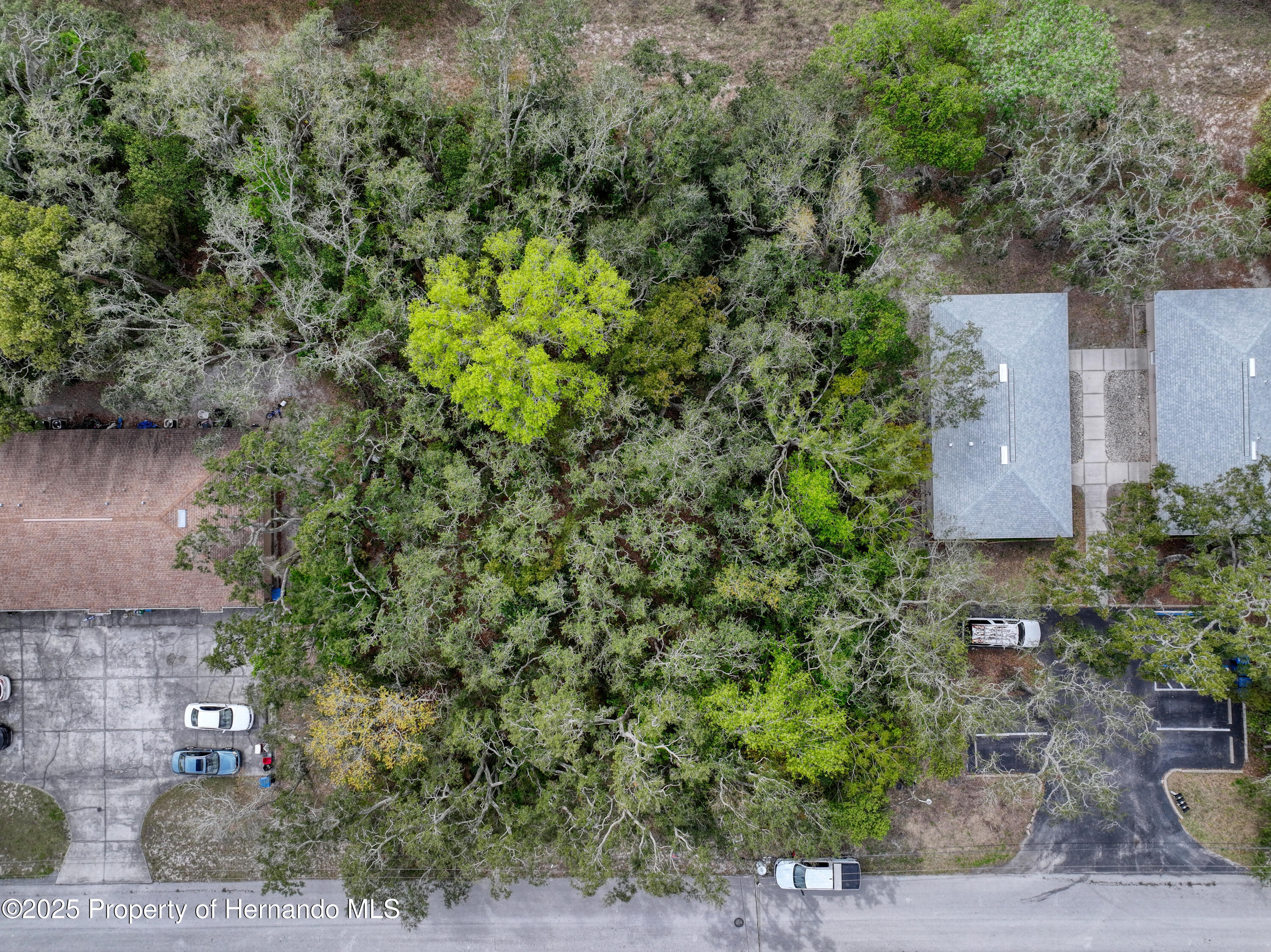 Sylvia Avenue, Spring Hill, Florida image 2