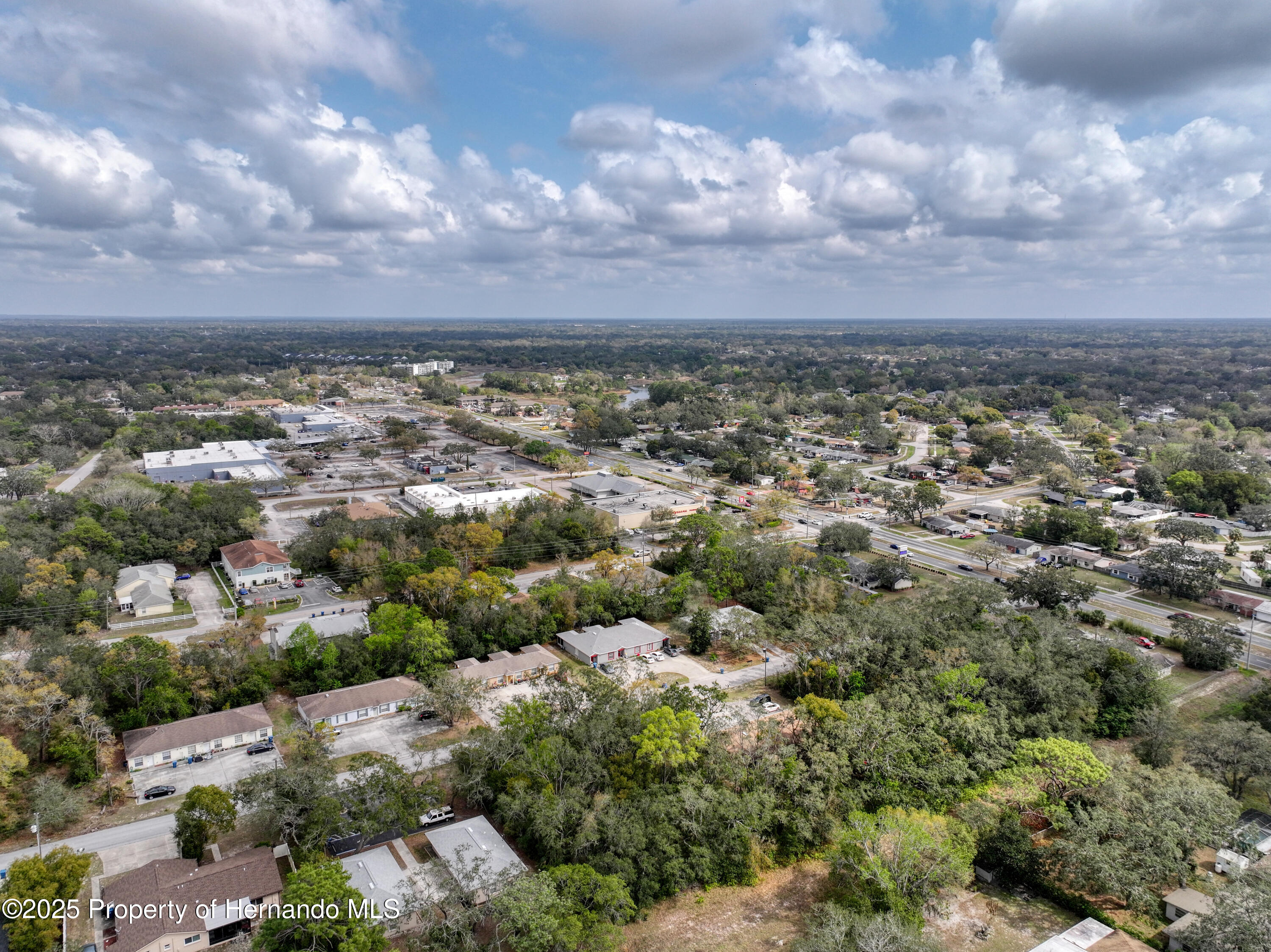 Sylvia Avenue, Spring Hill, Florida image 13