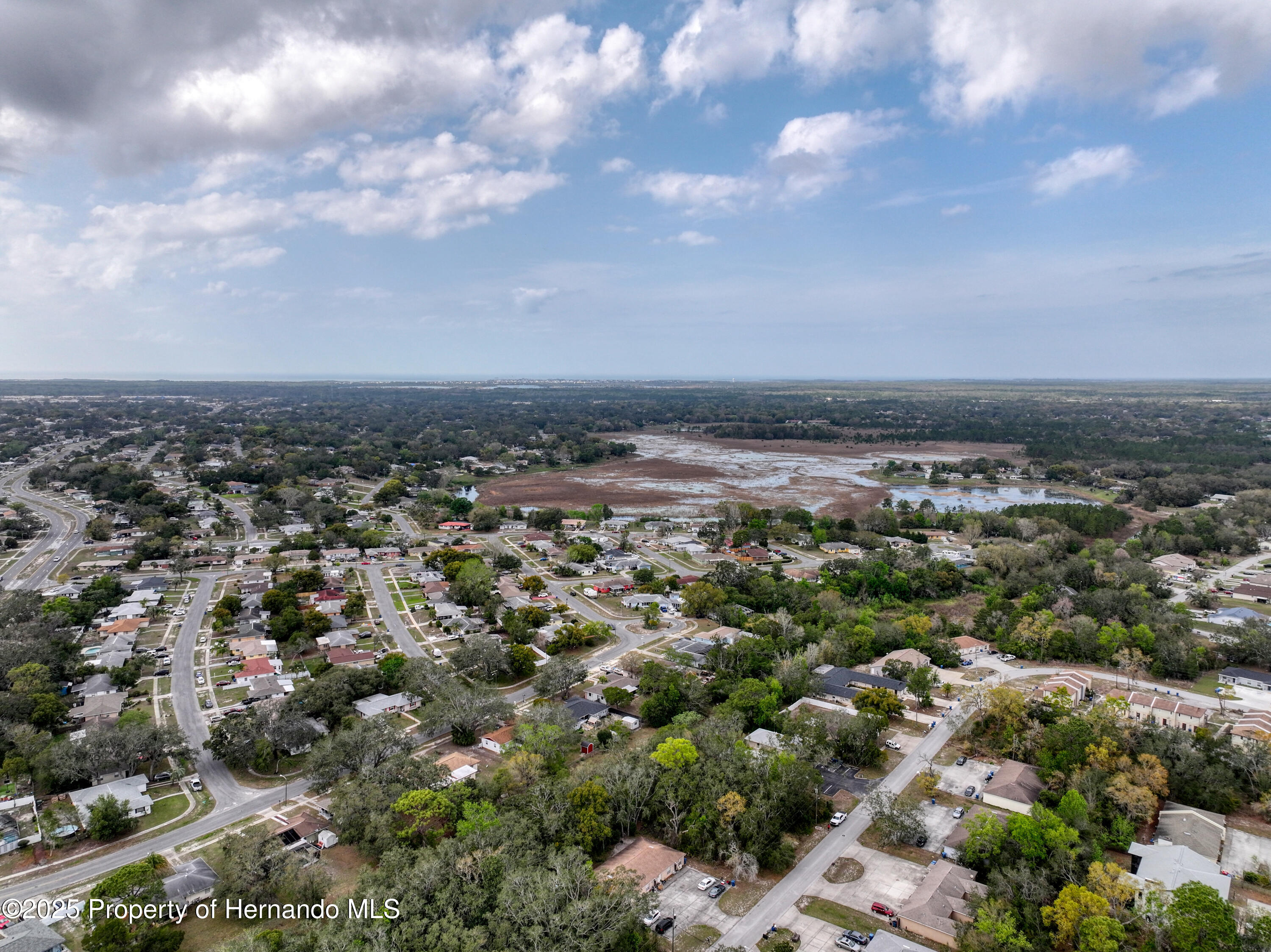 Sylvia Avenue, Spring Hill, Florida image 8