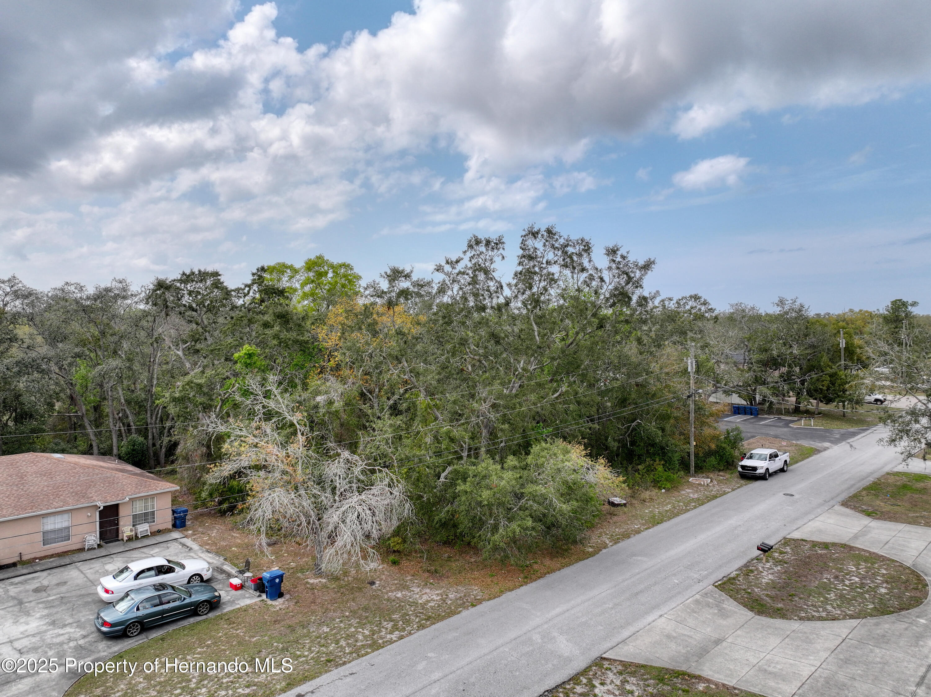 Sylvia Avenue, Spring Hill, Florida image 5