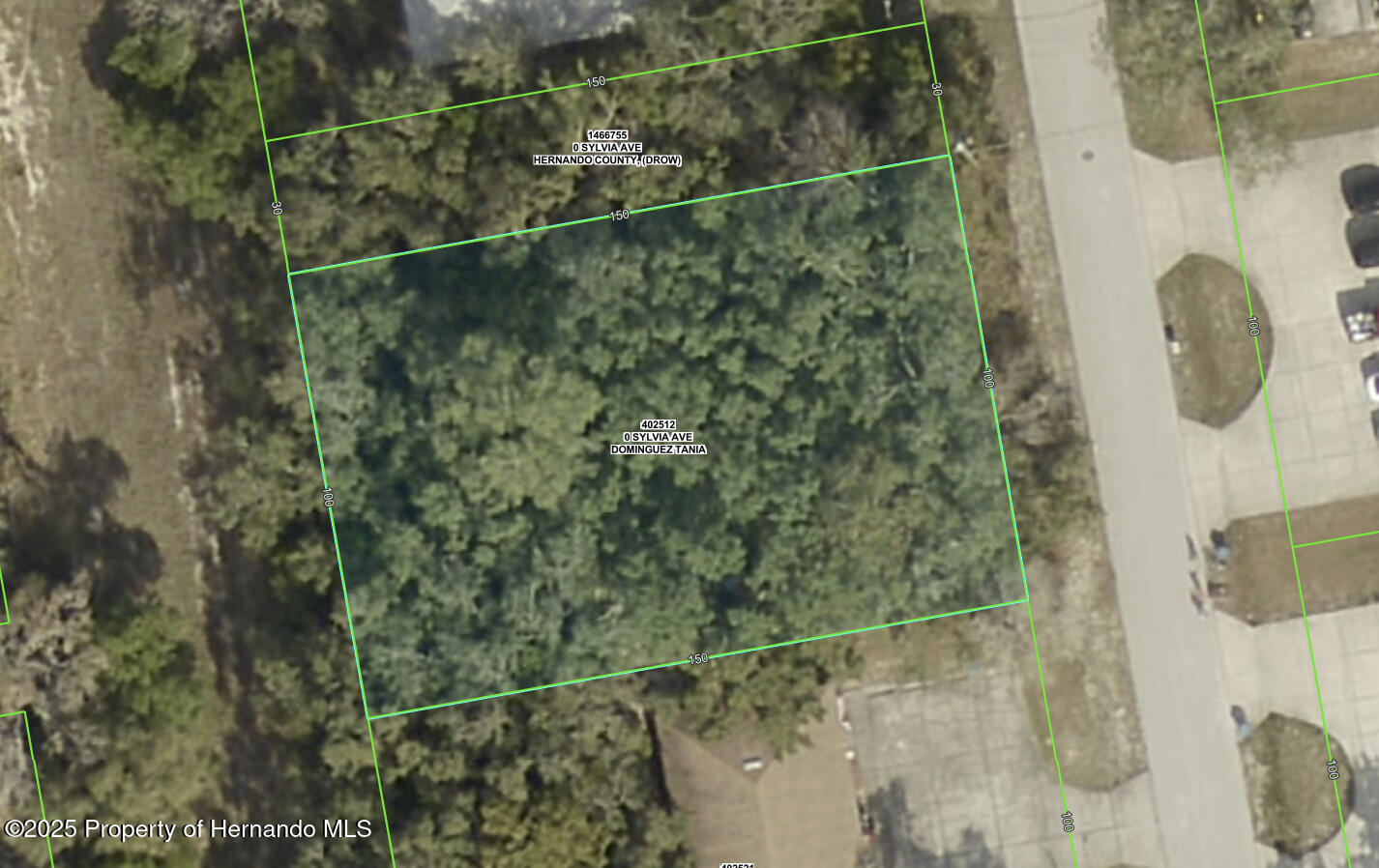 Sylvia Avenue, Spring Hill, Florida image 17