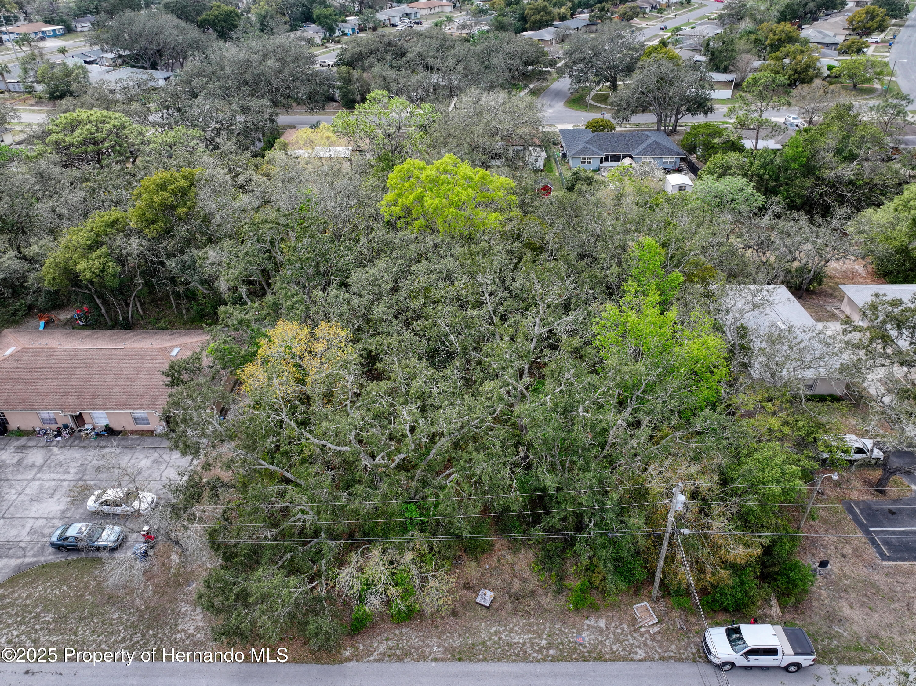 Sylvia Avenue, Spring Hill, Florida image 4