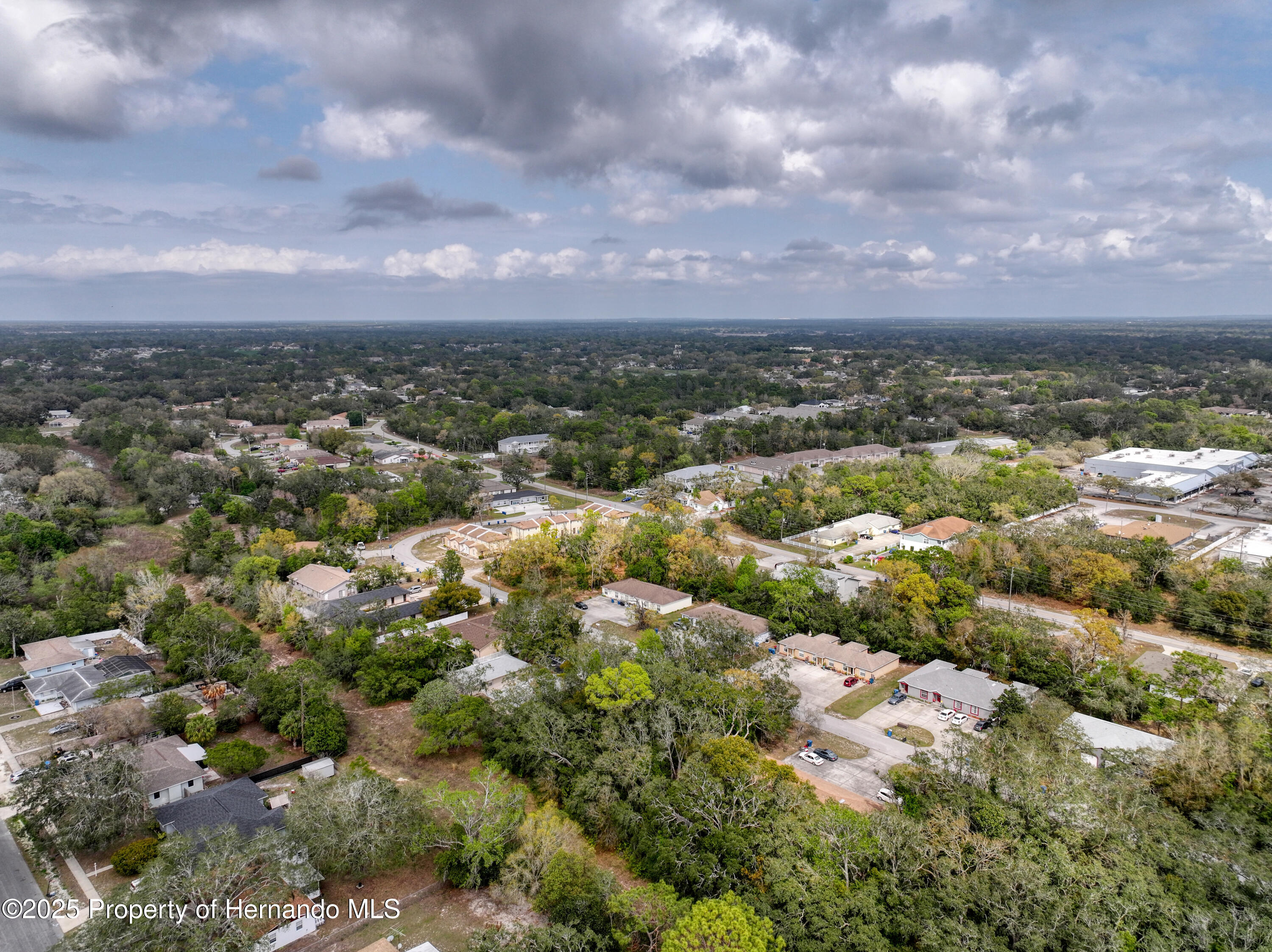 Sylvia Avenue, Spring Hill, Florida image 15