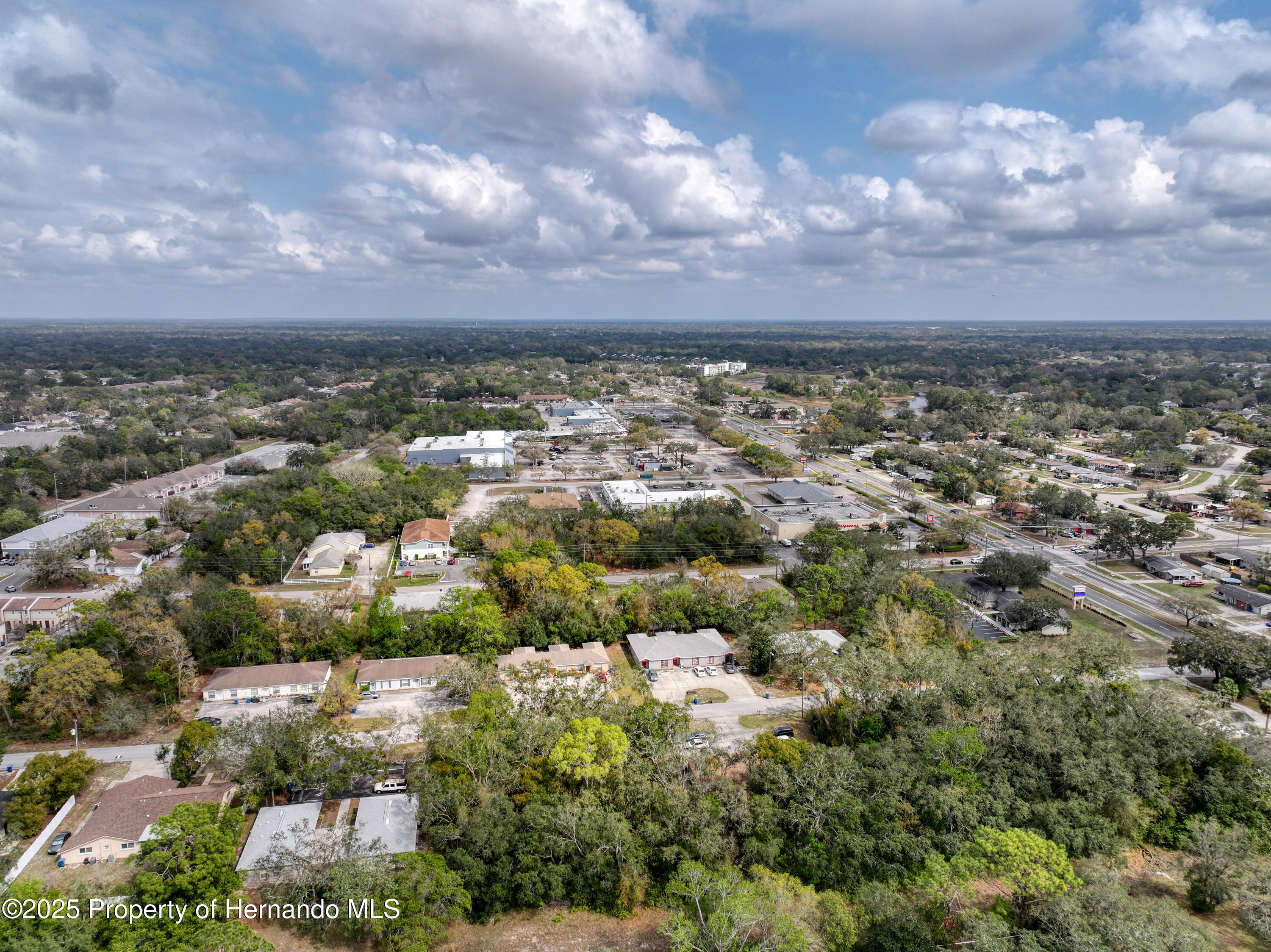 Sylvia Avenue, Spring Hill, Florida image 14