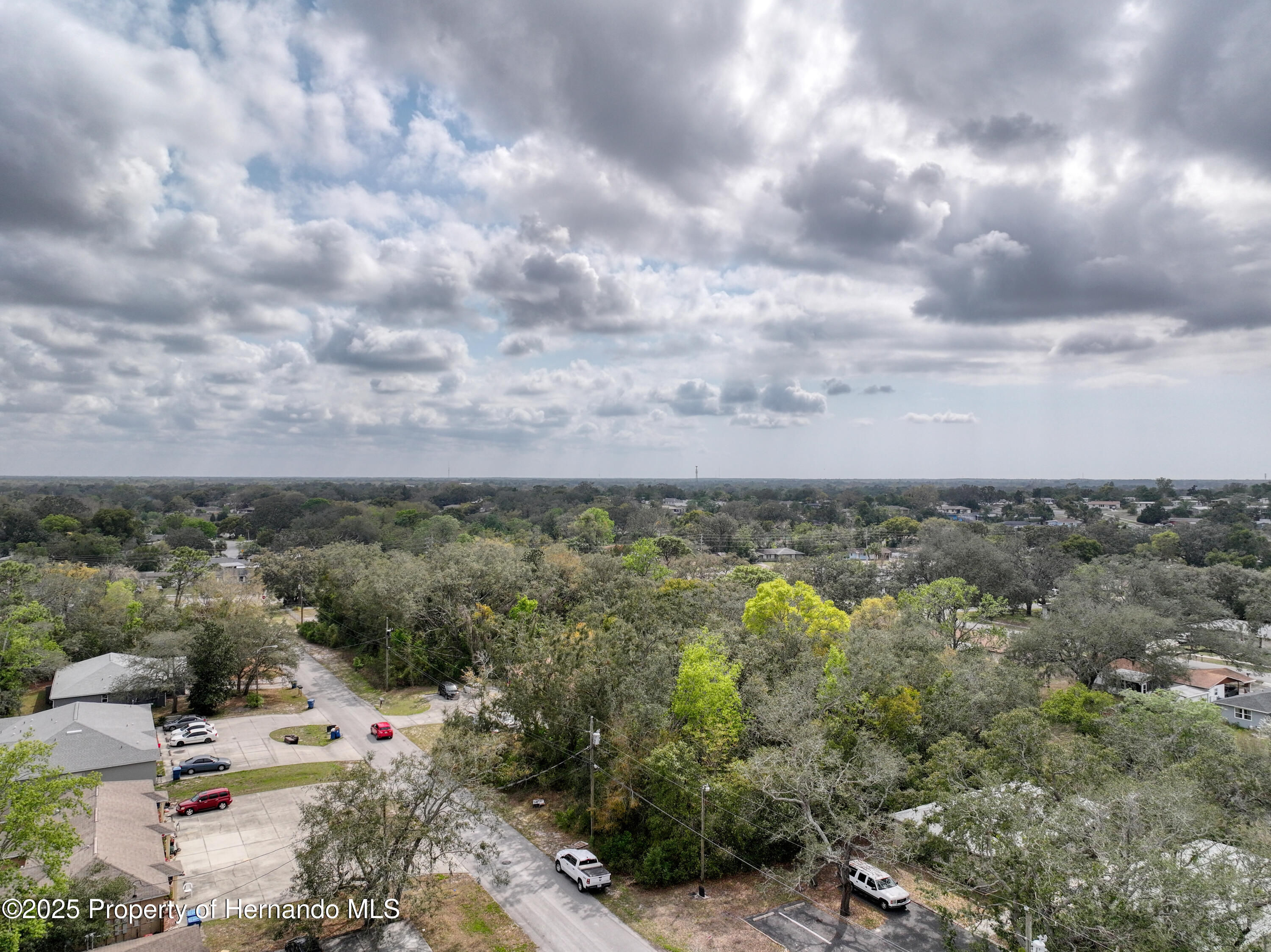 Sylvia Avenue, Spring Hill, Florida image 6