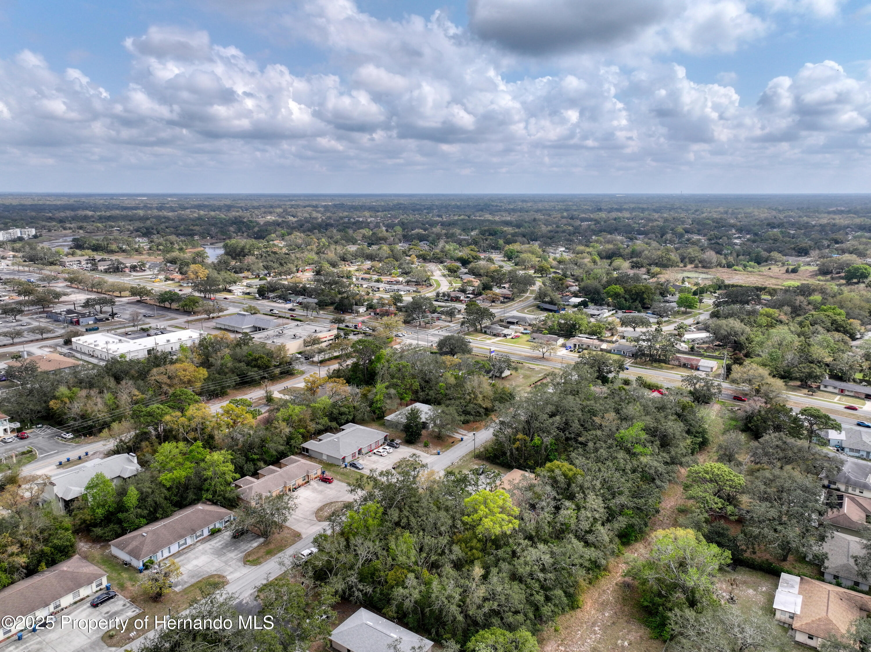 Sylvia Avenue, Spring Hill, Florida image 12