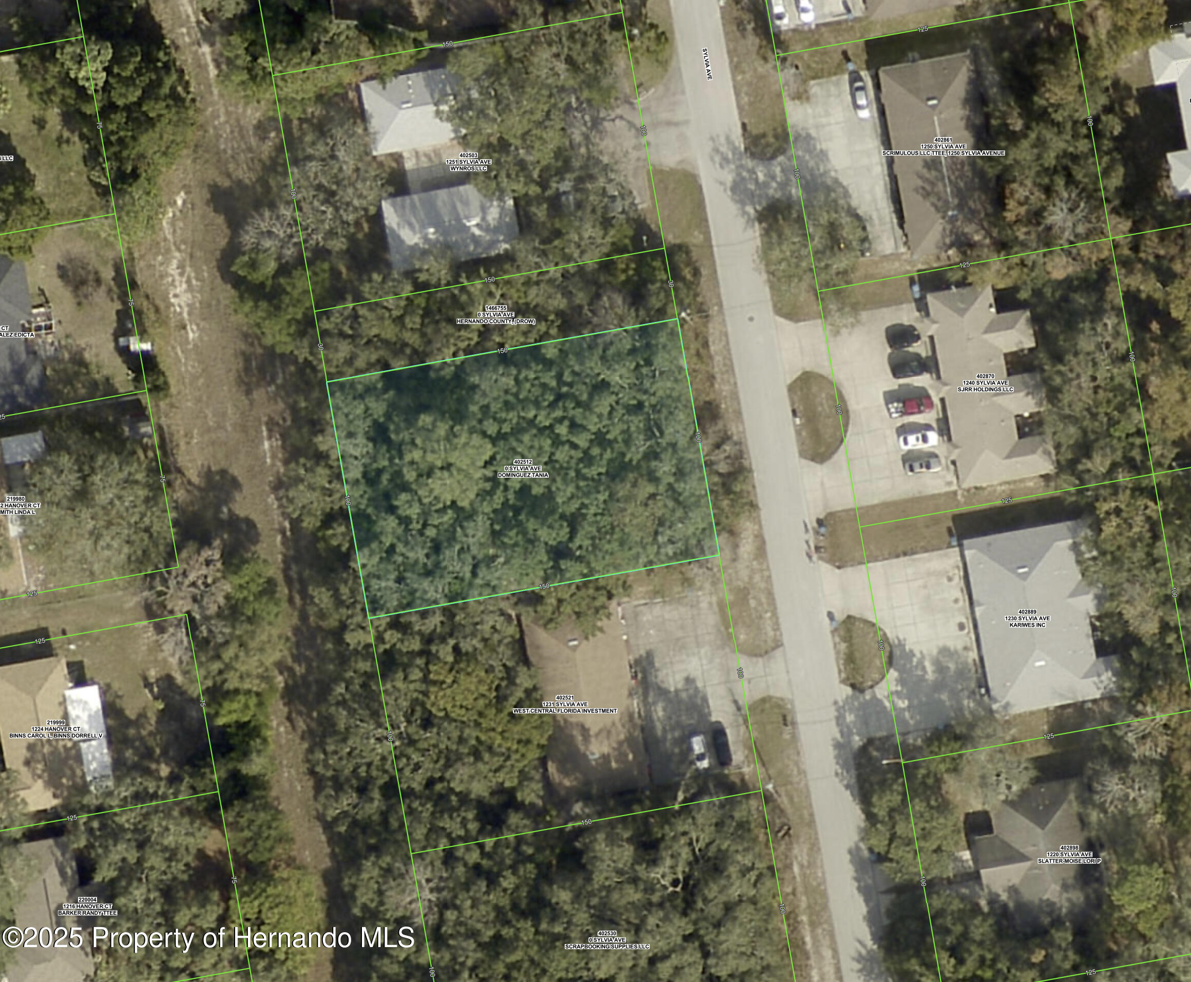 Sylvia Avenue, Spring Hill, Florida image 16