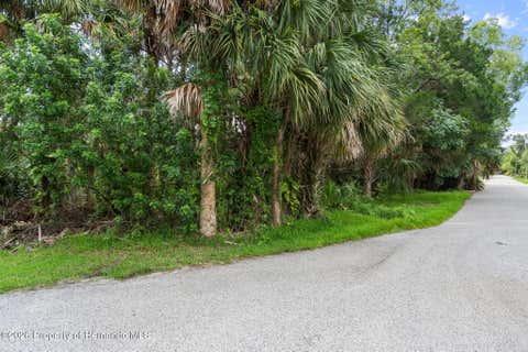 Vacant Land For Sale - River Point Drive<br/> Weeki Wachee, FL 34607