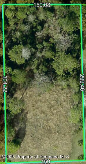 11039 Fulton Avenue, Weeki Wachee, Florida image 1