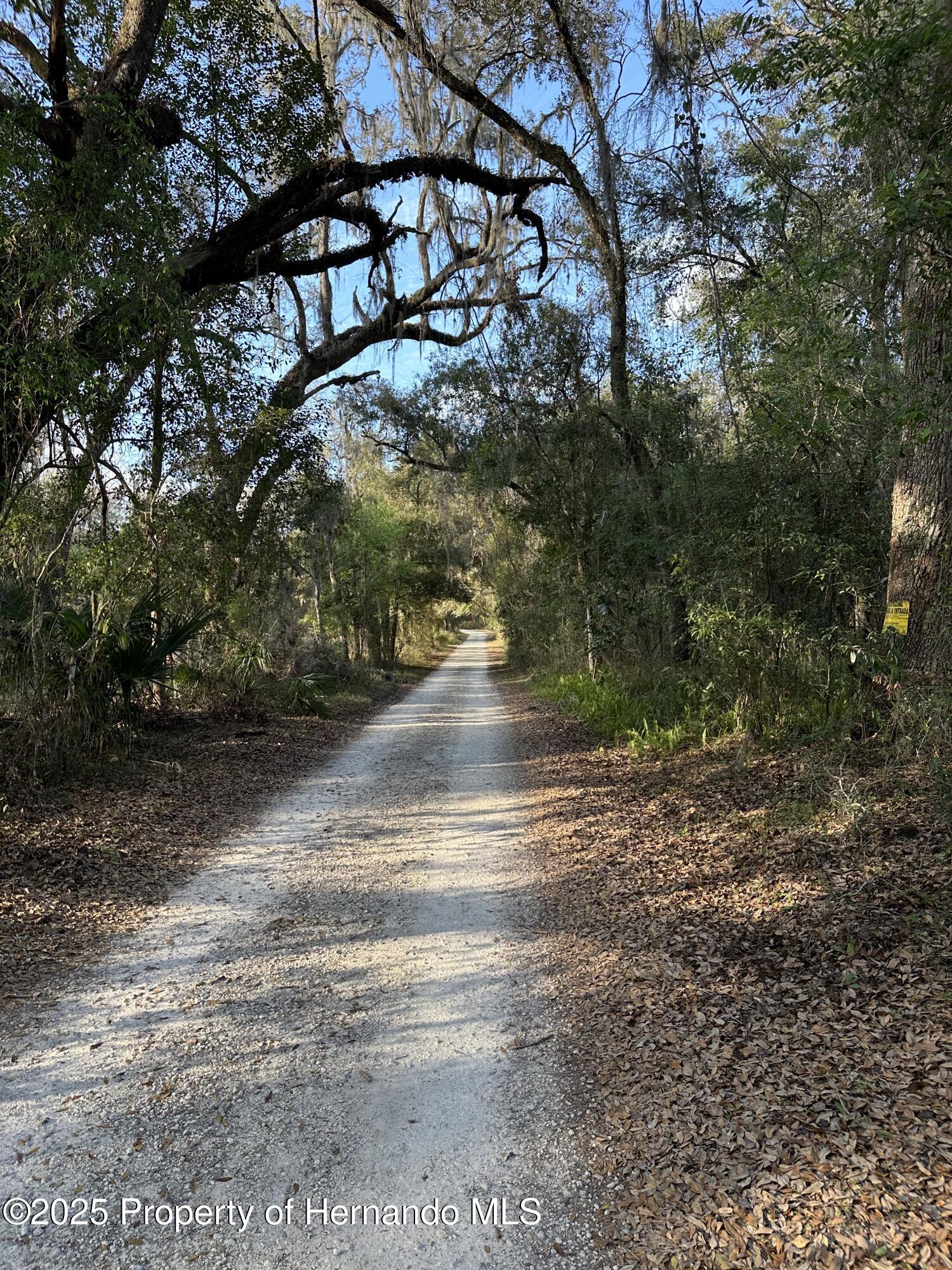 Lucilles Shady Lane, Brooksville, Florida image 5
