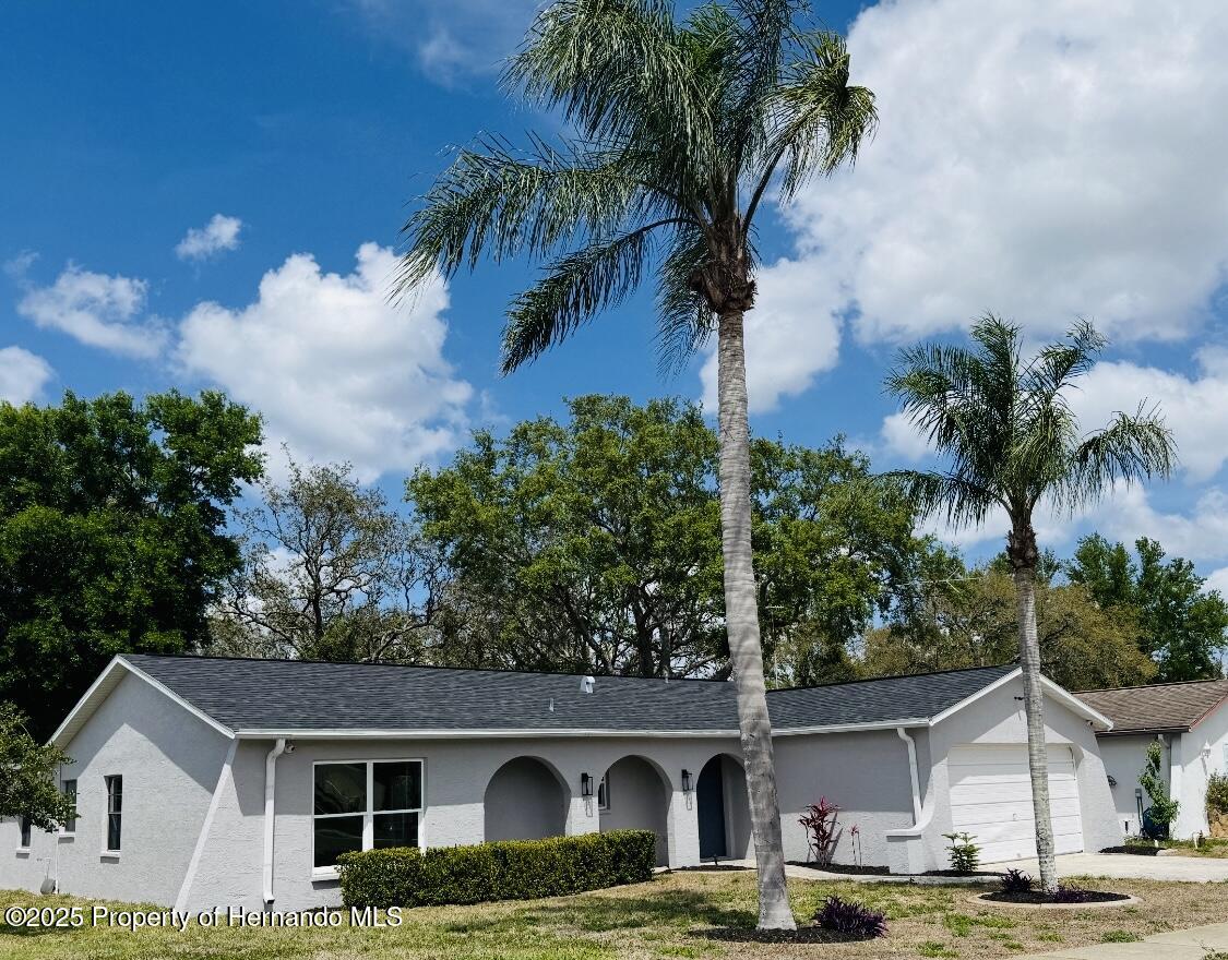 10919 Midland Bridge Road, Hudson, Florida image 3