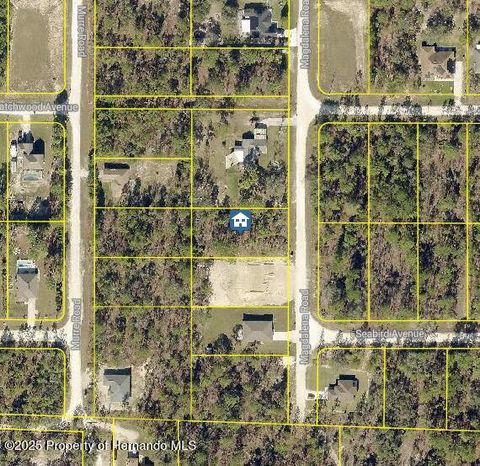Vacant Land For Sale - LOT 14 Magdalena Rd<br/> Weeki Wachee, FL 34614
