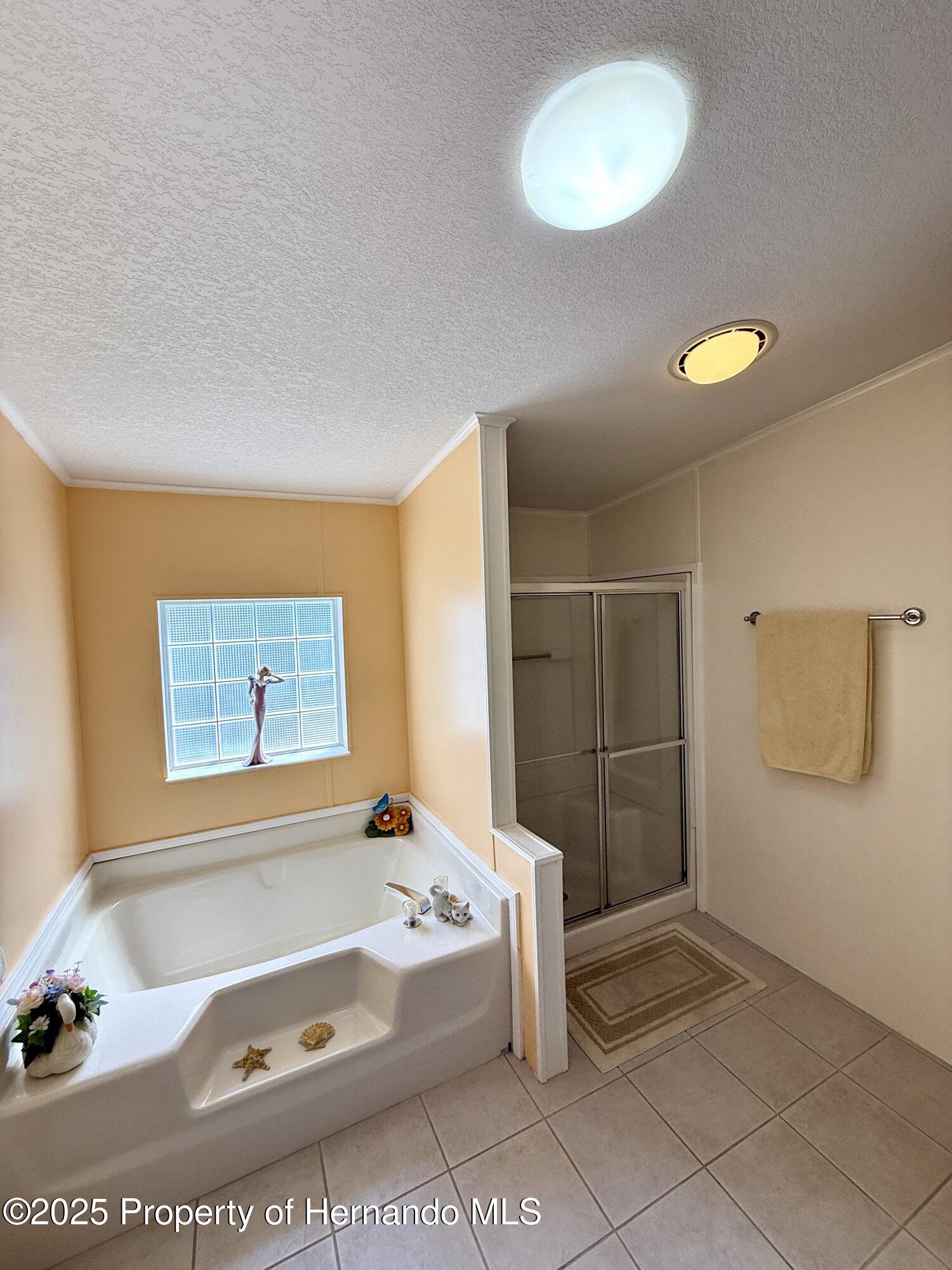 9198 Basil Street, Brooksville, Florida image 25