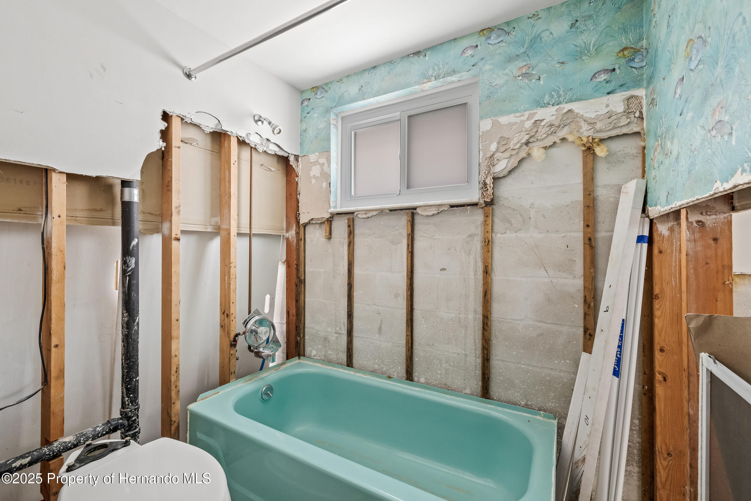 4921 Shell Stream Boulevard, New Port Richey, Florida image 32