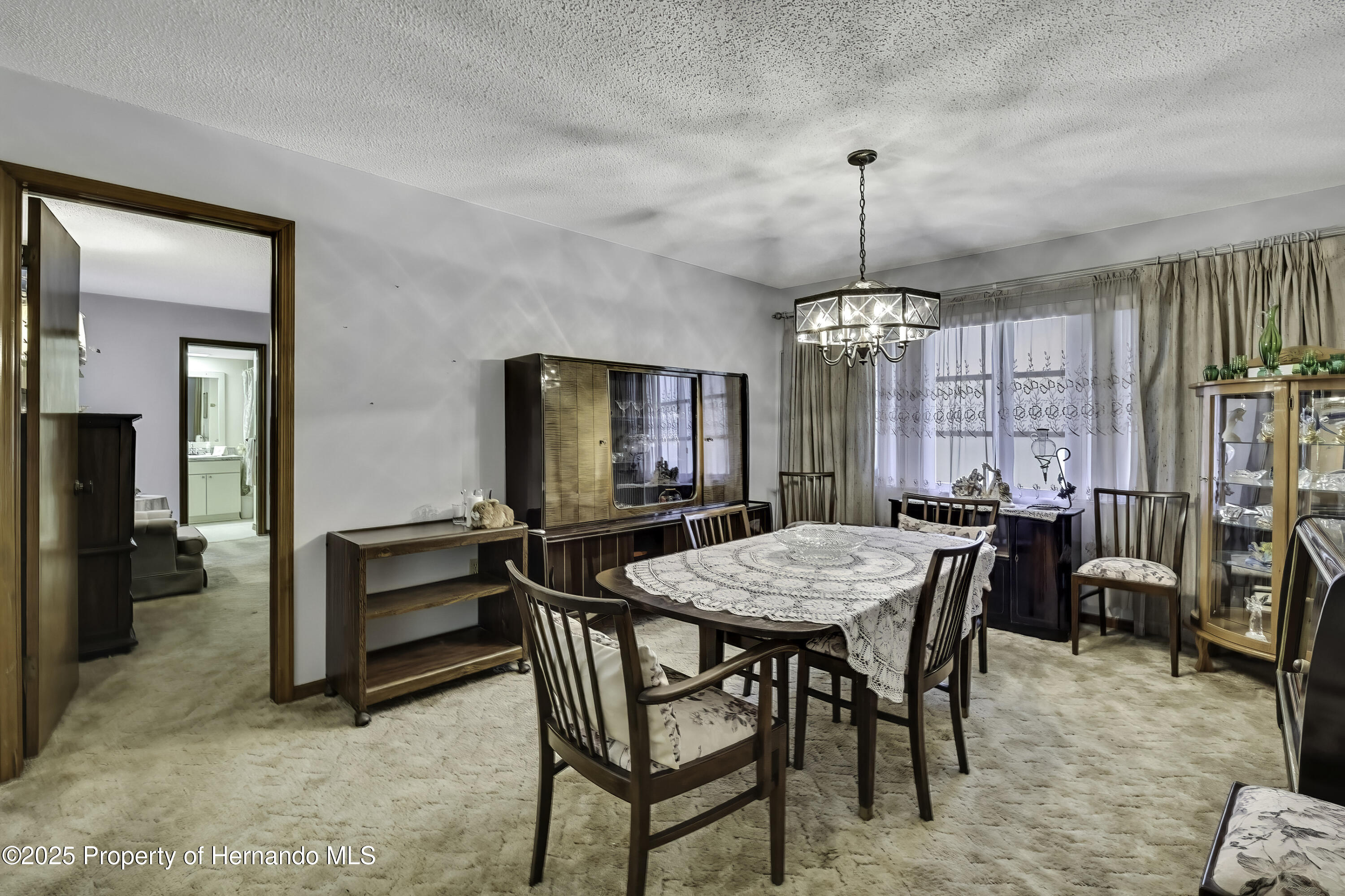 12722 Oak Tree Drive, Hudson, Florida image 9
