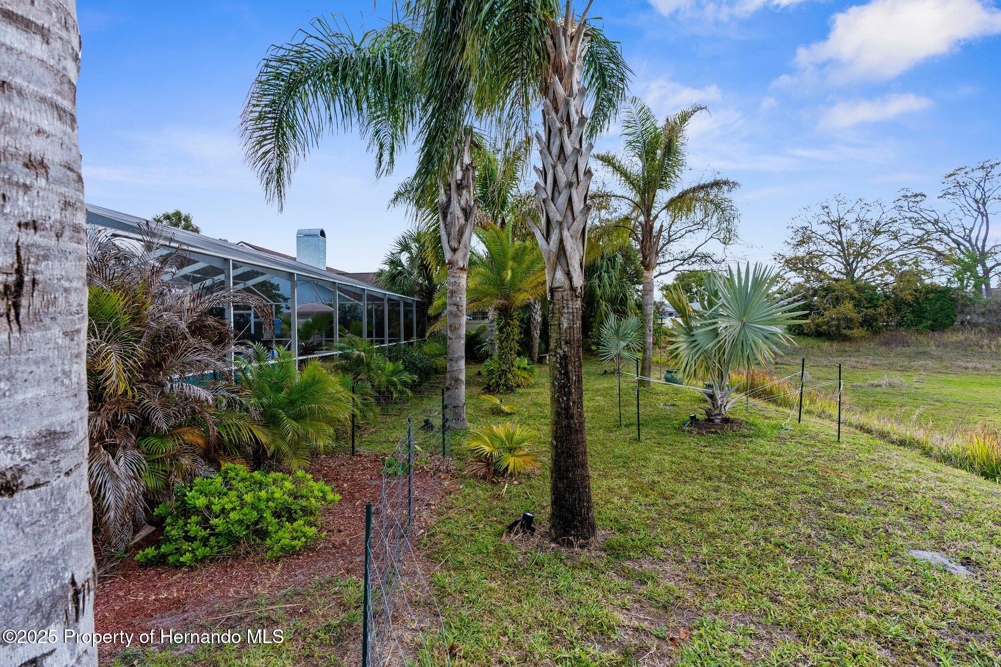 8200 Rhanbuoy Road, Spring Hill, Florida image 6