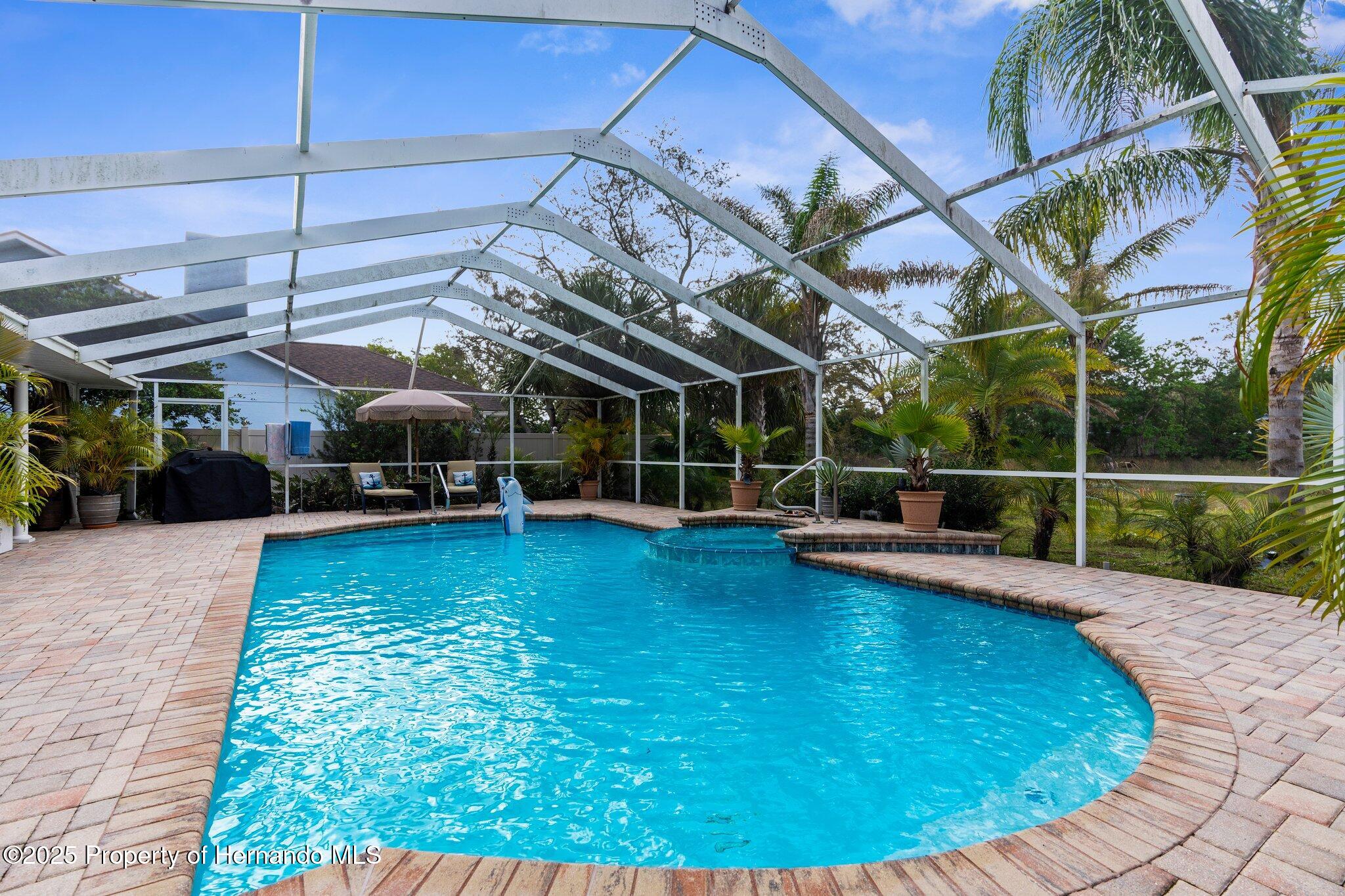 8200 Rhanbuoy Road, Spring Hill, Florida image 11