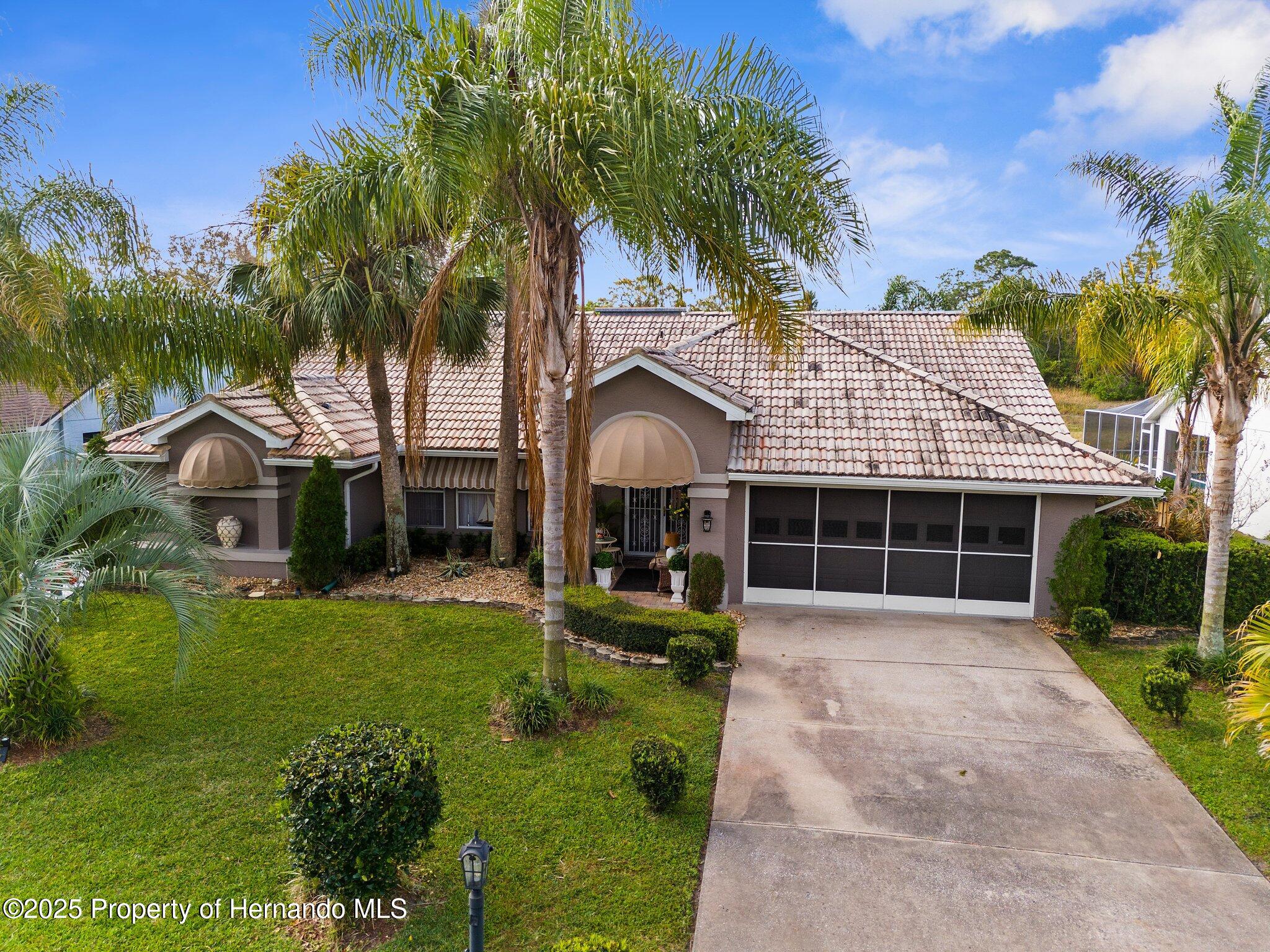 8200 Rhanbuoy Road, Spring Hill, Florida image 4
