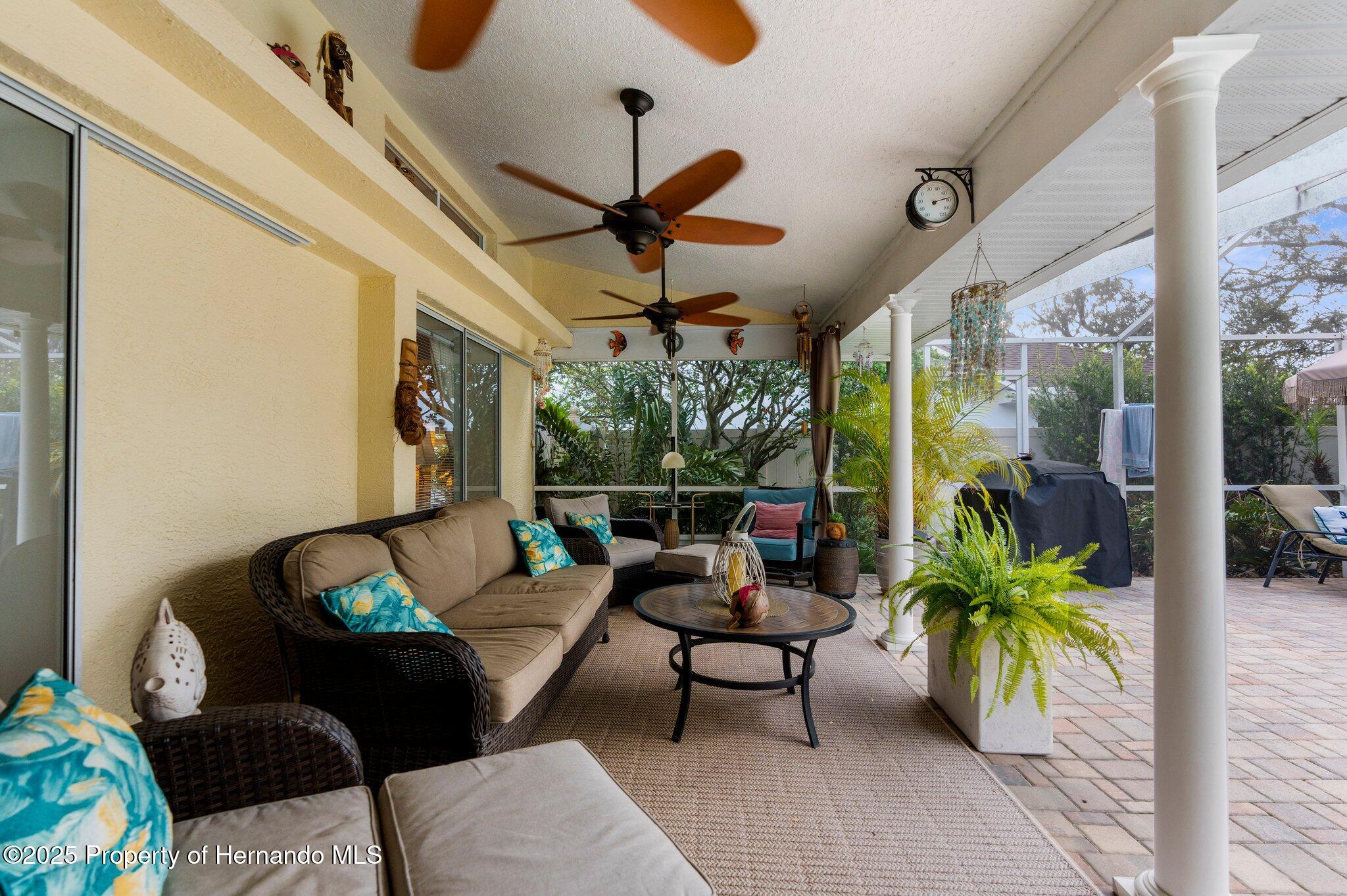 8200 Rhanbuoy Road, Spring Hill, Florida image 14