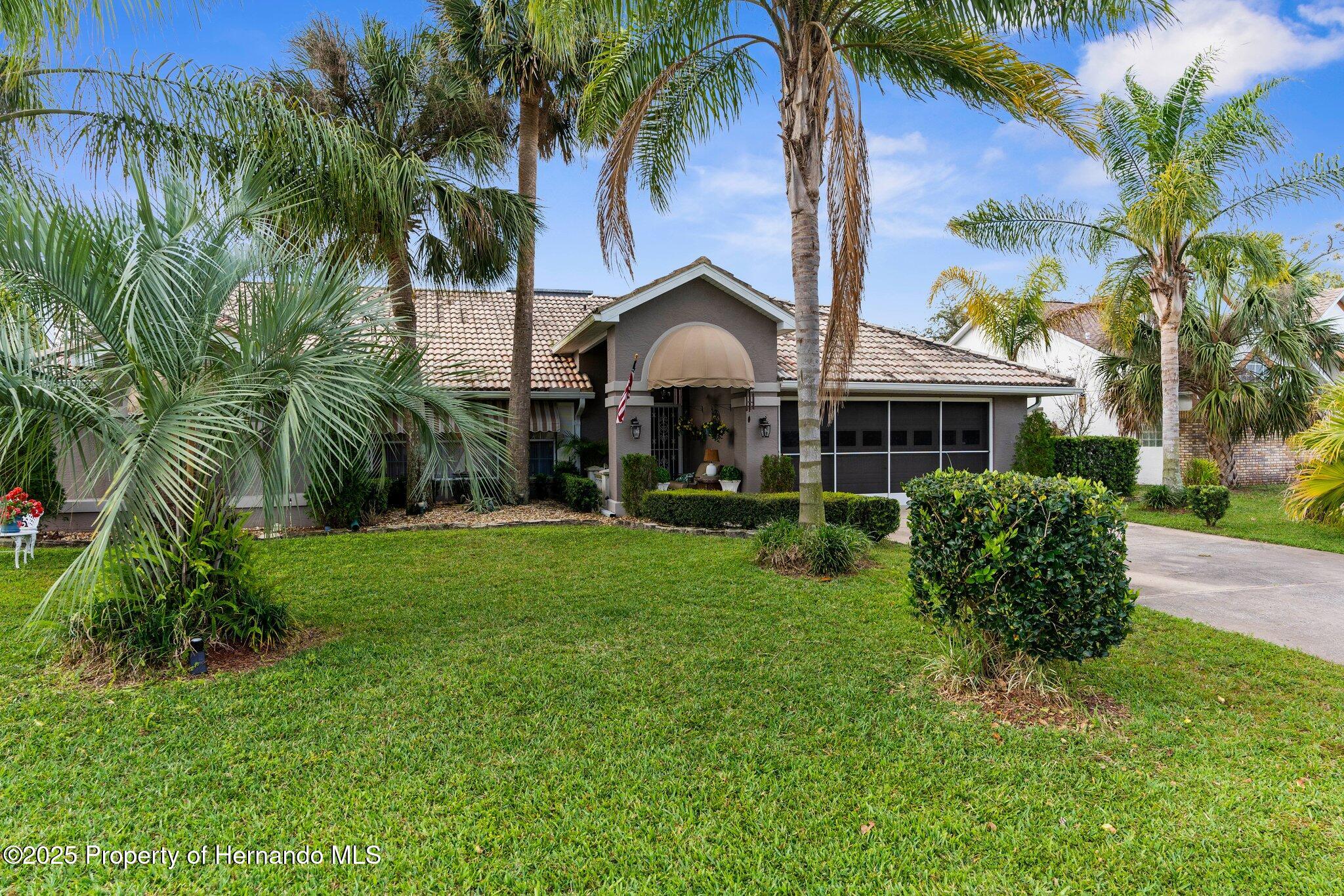 8200 Rhanbuoy Road, Spring Hill, Florida image 3