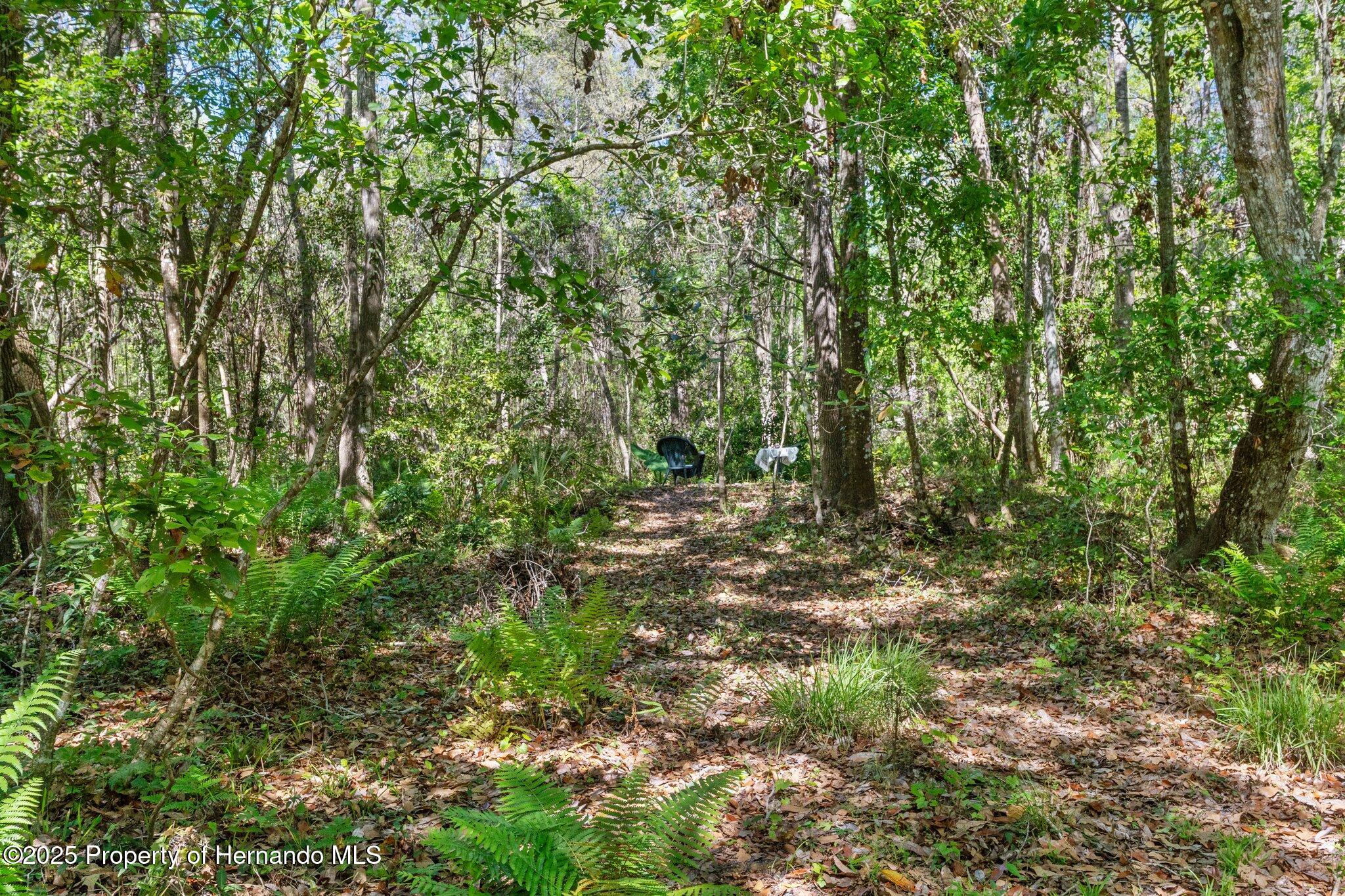 4319 Bessemer Road, Brooksville, Florida image 47