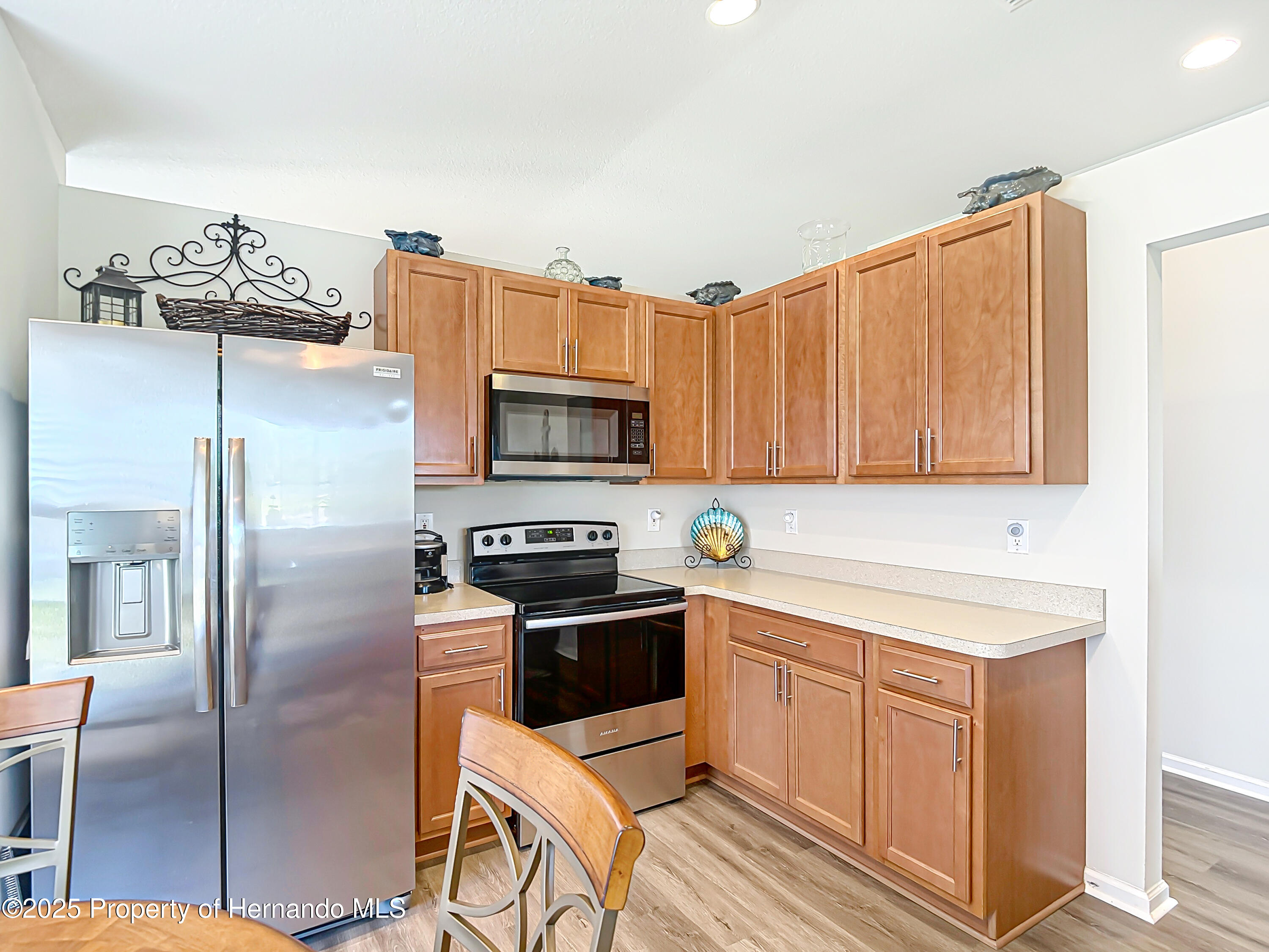 1082 Nodding Shade Drive, Brooksville, Florida image 20