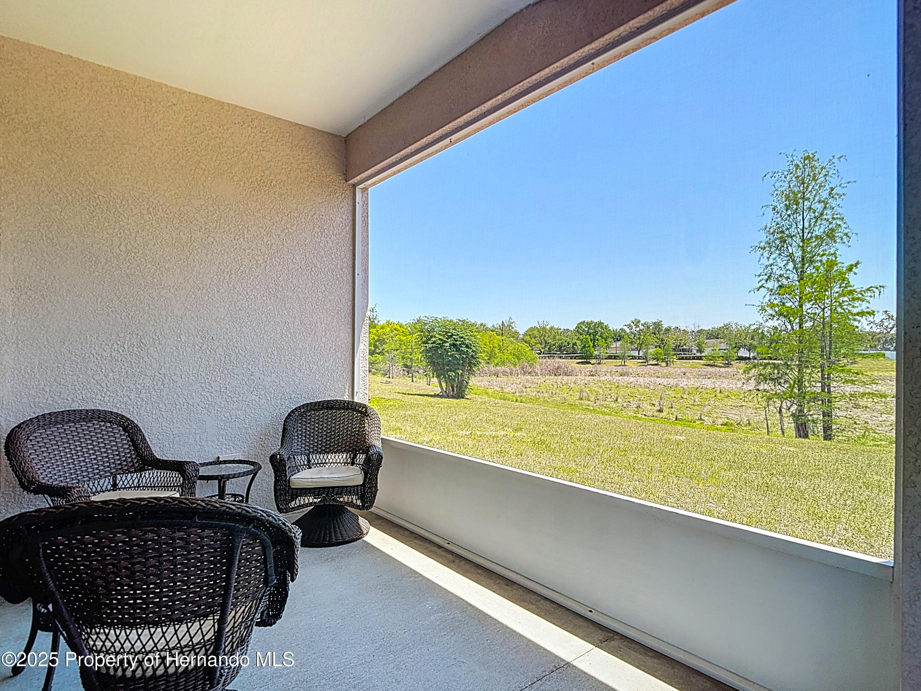1082 Nodding Shade Drive, Brooksville, Florida image 49