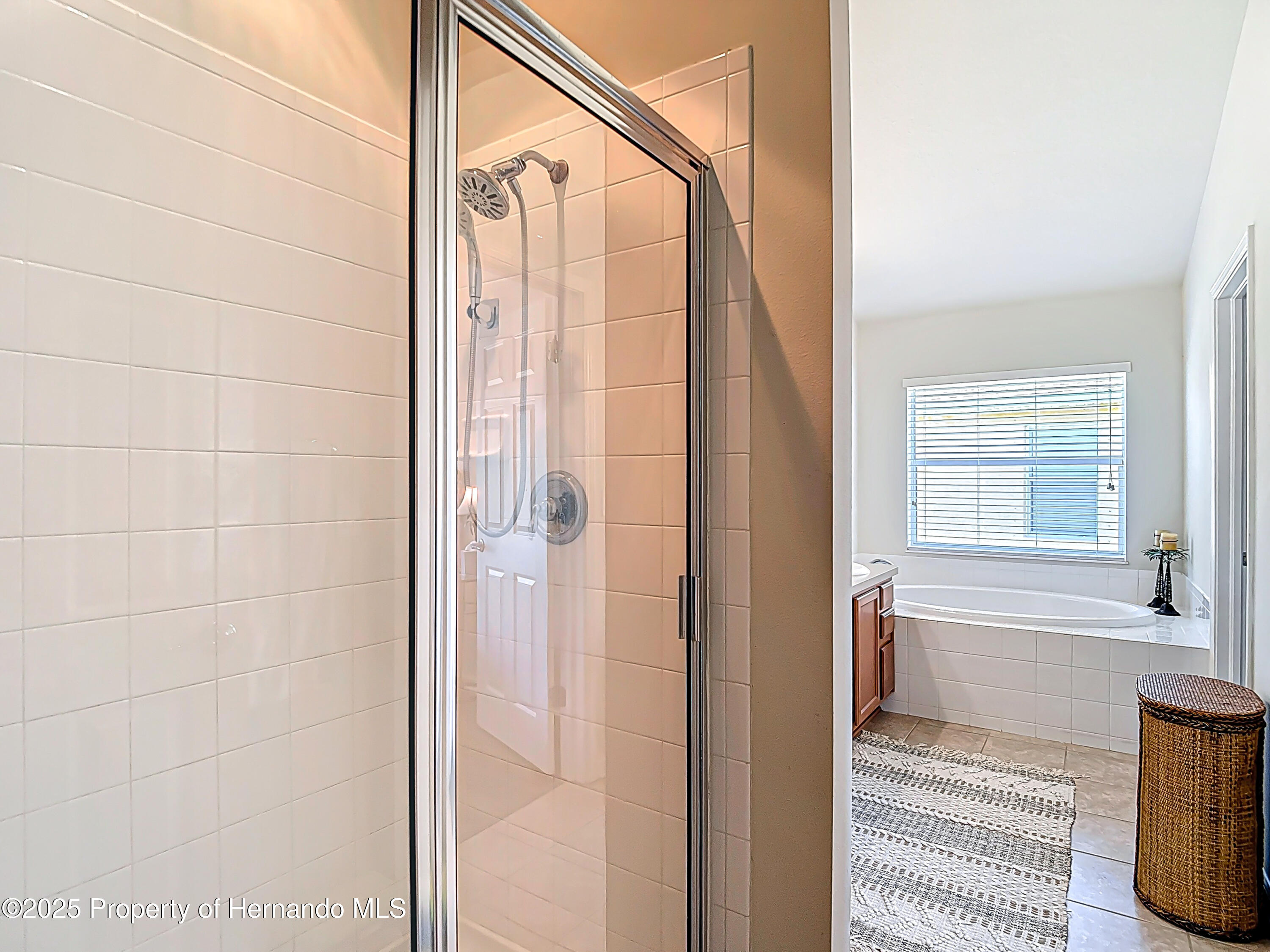 1082 Nodding Shade Drive, Brooksville, Florida image 44