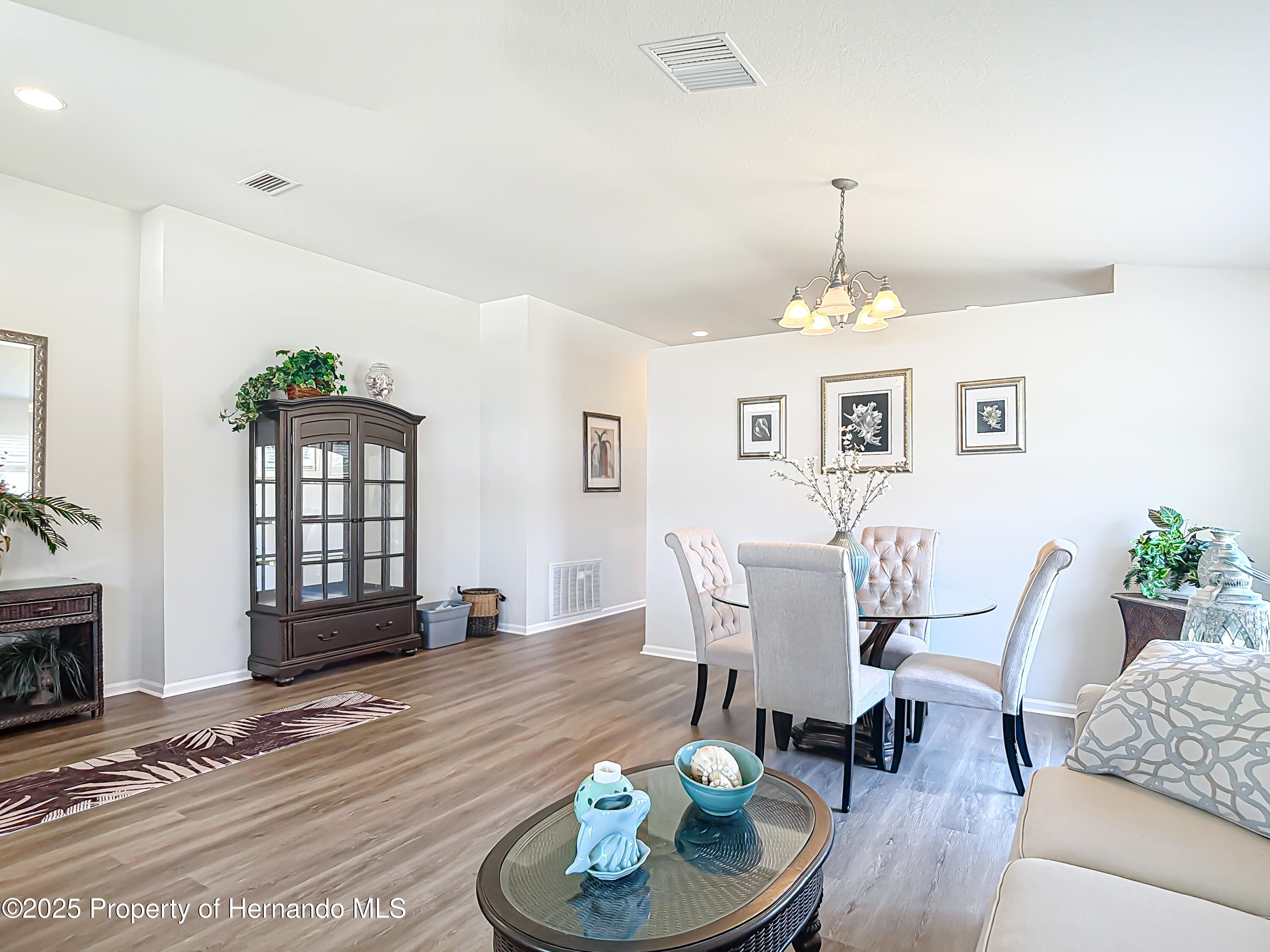 1082 Nodding Shade Drive, Brooksville, Florida image 9