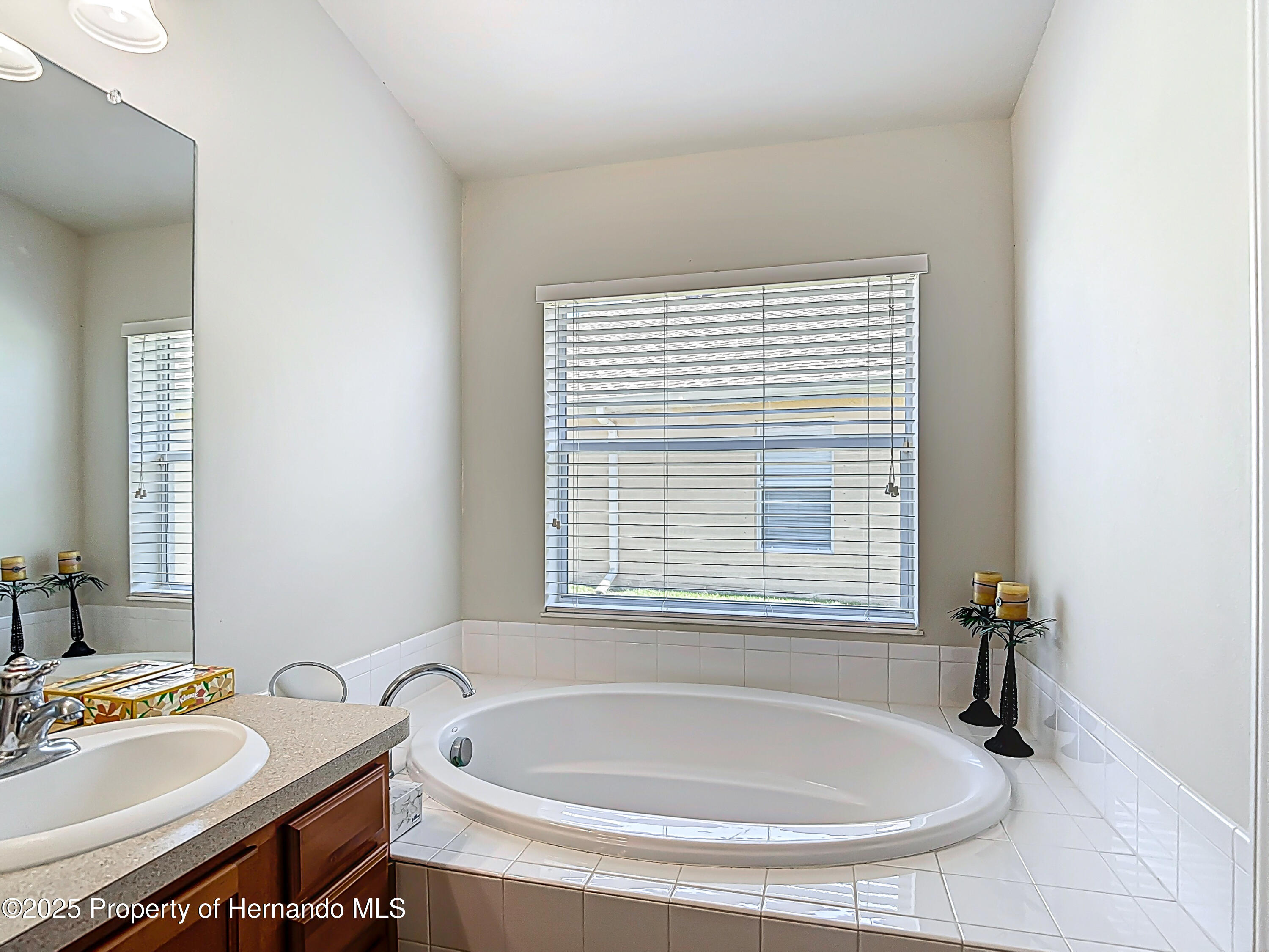 1082 Nodding Shade Drive, Brooksville, Florida image 45