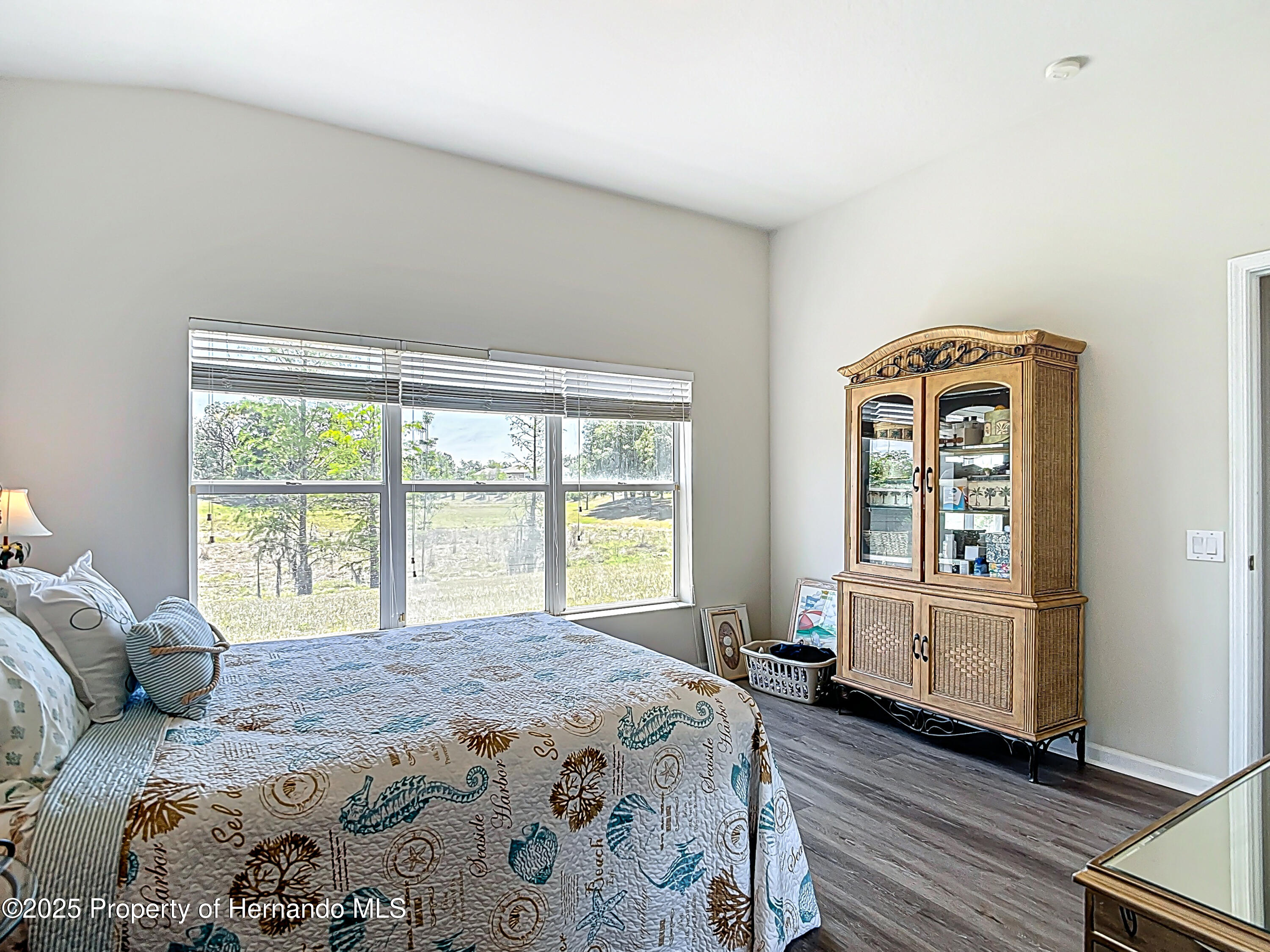 1082 Nodding Shade Drive, Brooksville, Florida image 38