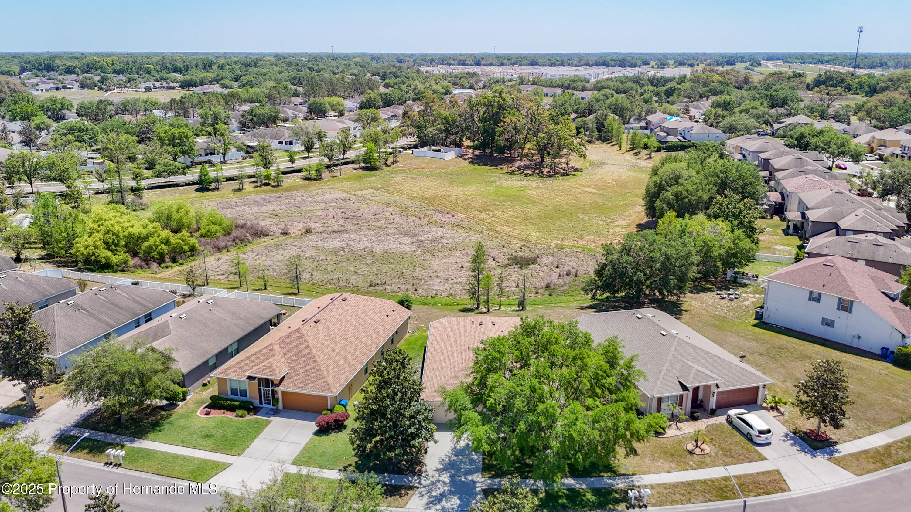 1082 Nodding Shade Drive, Brooksville, Florida image 16