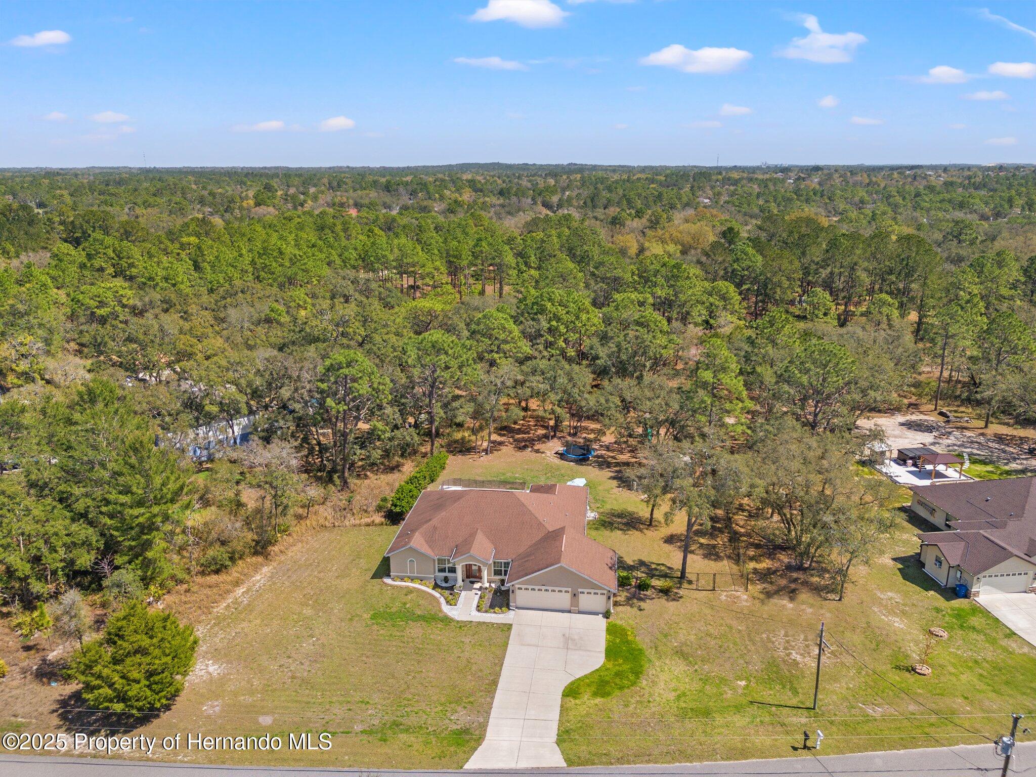 11440 Linnet Road, Weeki Wachee, Florida image 4