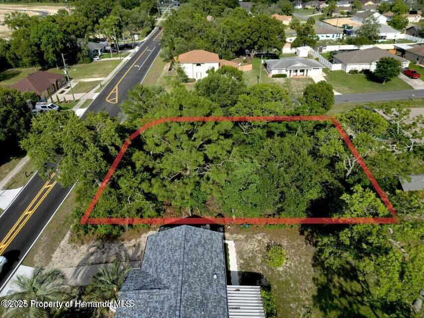 12828 Linden Drive, Spring Hill, Florida image 2