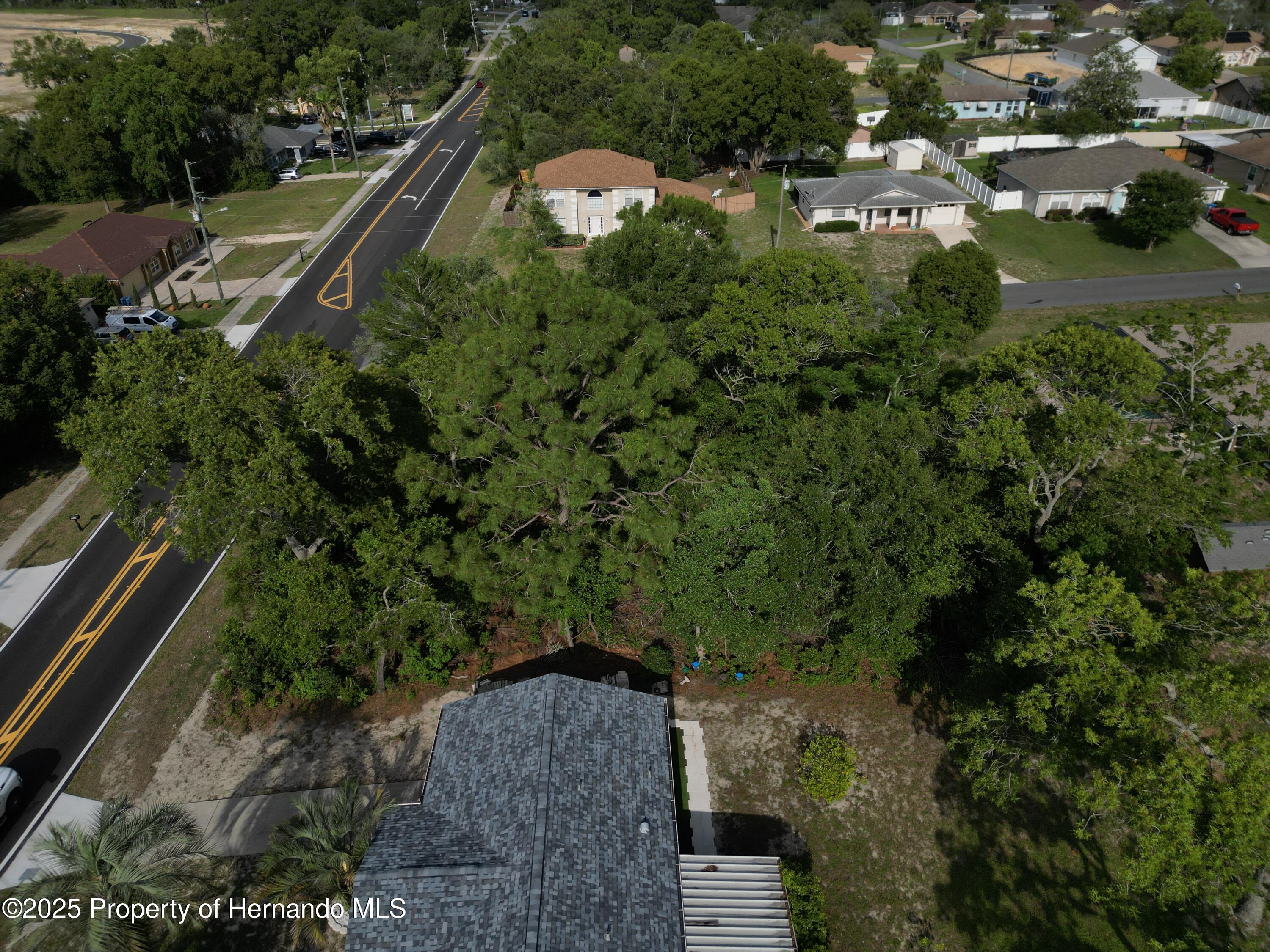 12828 Linden Drive, Spring Hill, Florida image 16