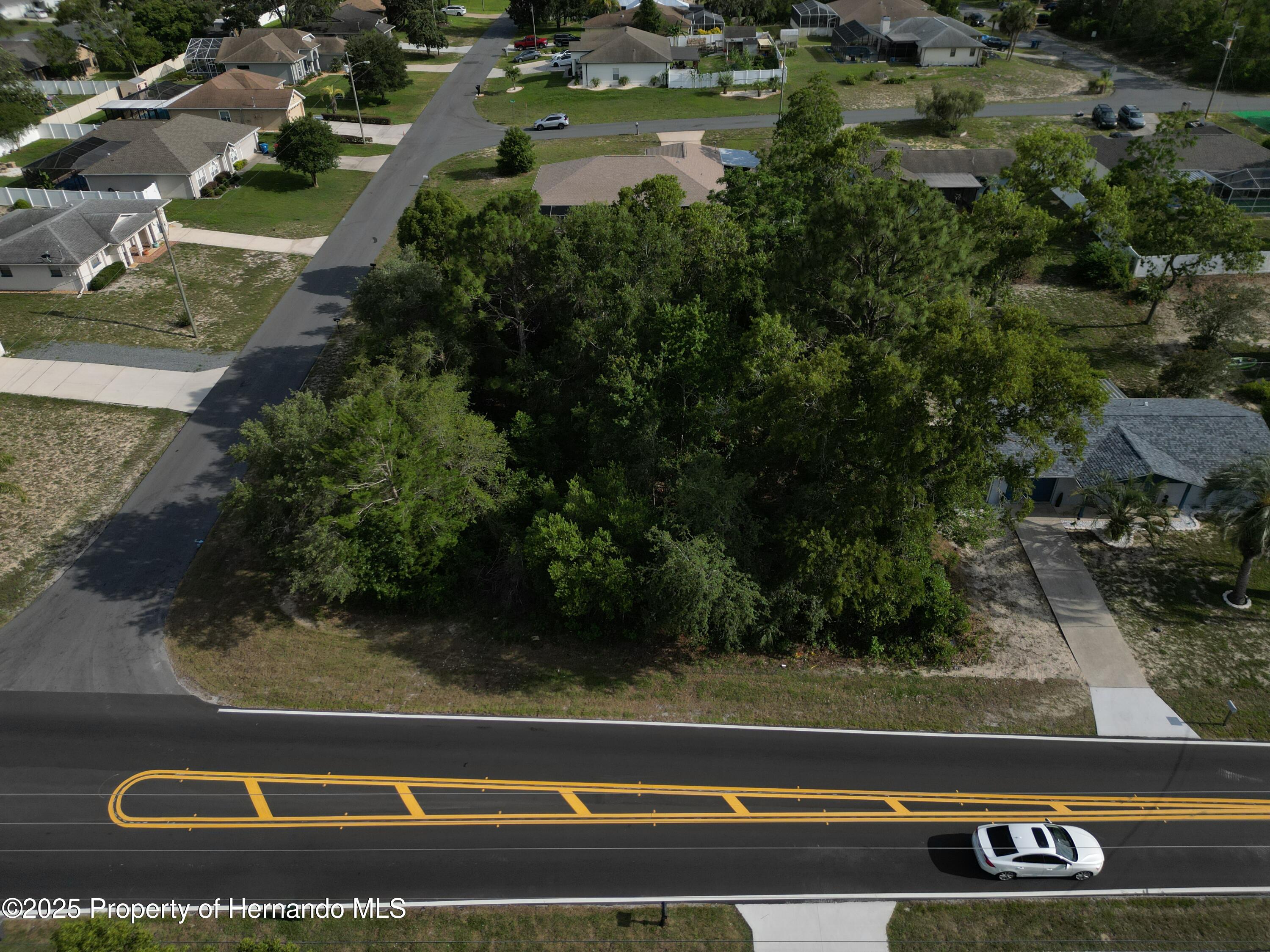 12828 Linden Drive, Spring Hill, Florida image 13