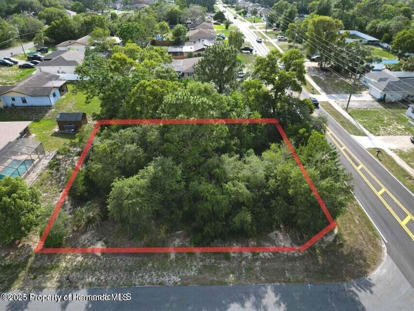 12828 Linden Drive, Spring Hill, Florida image 3