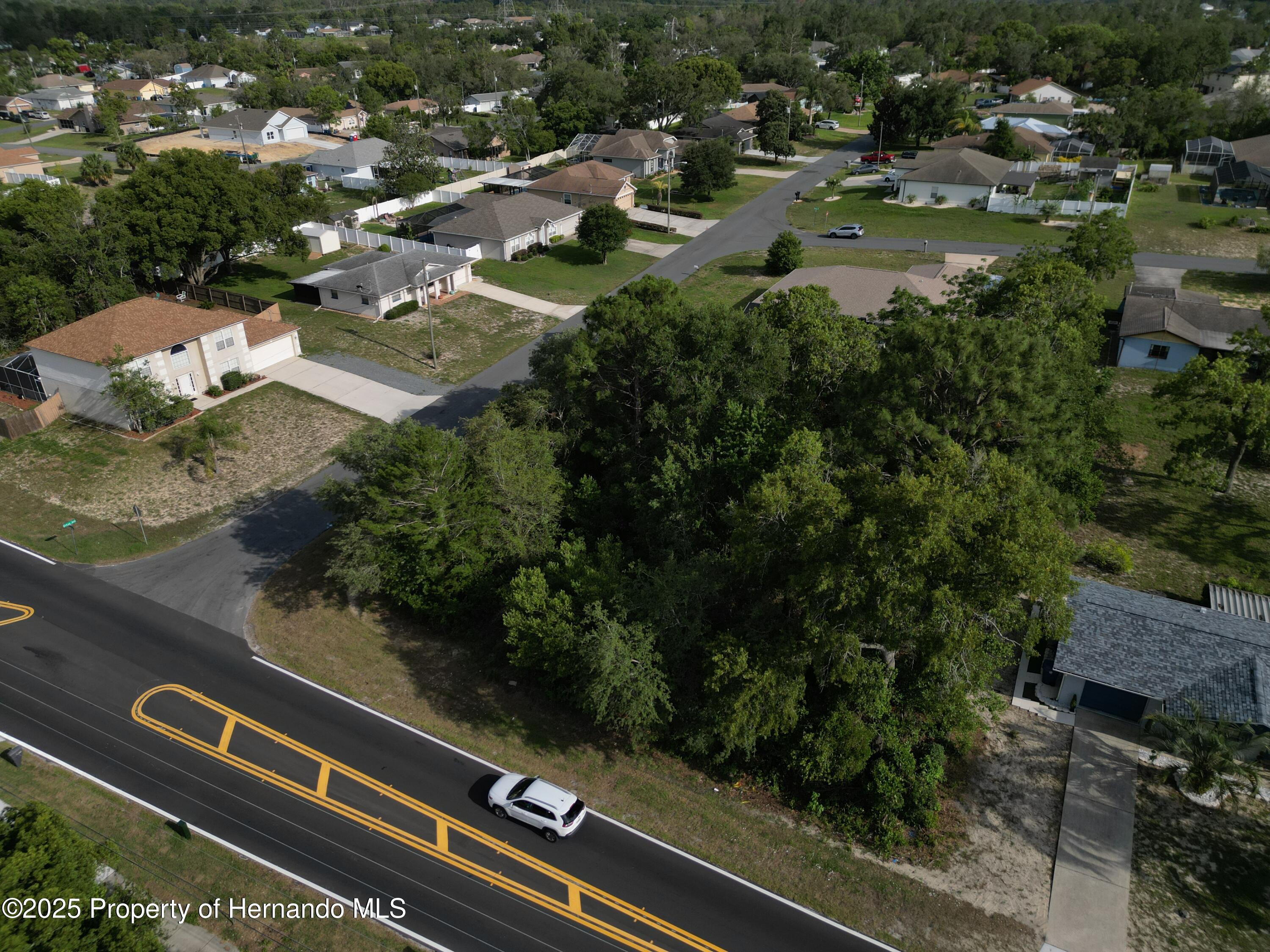 12828 Linden Drive, Spring Hill, Florida image 8