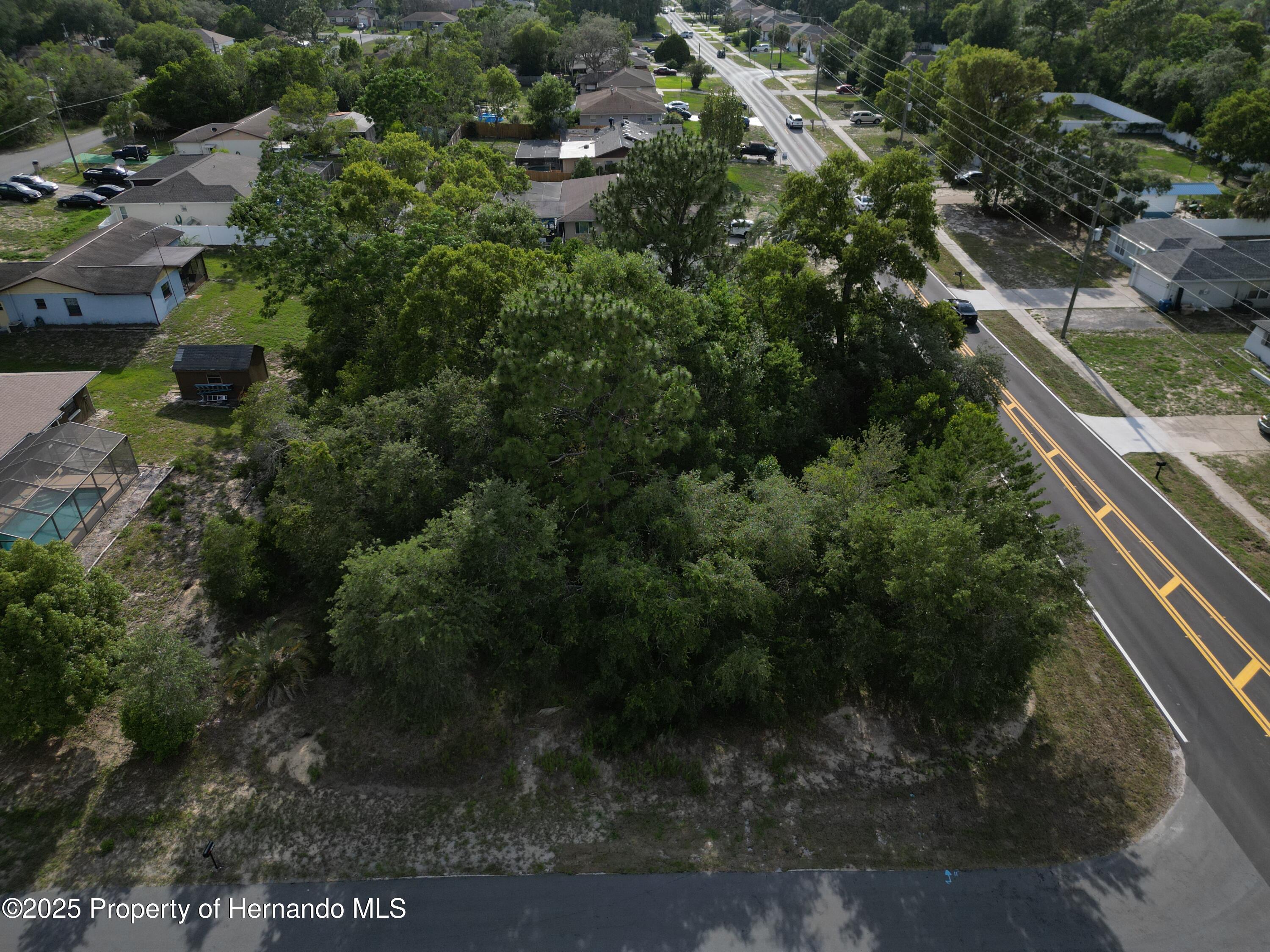 12828 Linden Drive, Spring Hill, Florida image 15