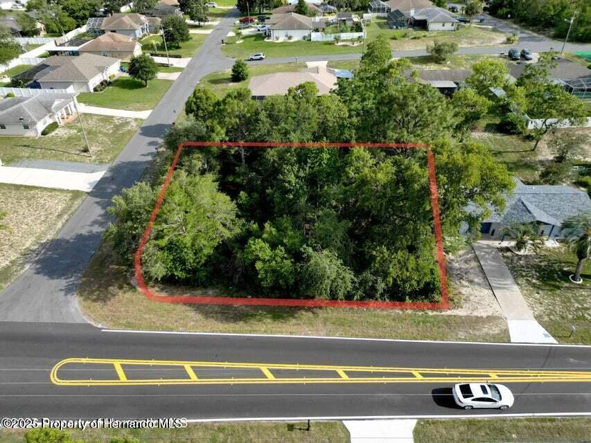 12828 Linden Drive, Spring Hill, Florida image 1