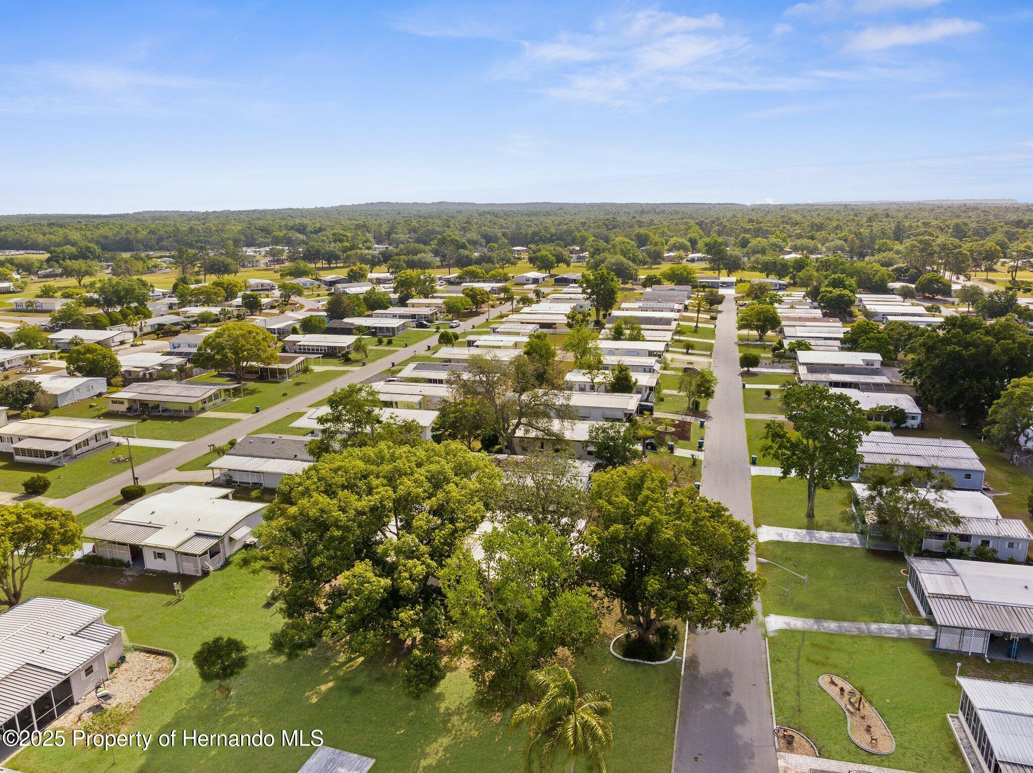 14299 Nectarine Street, Brooksville, Florida image 29