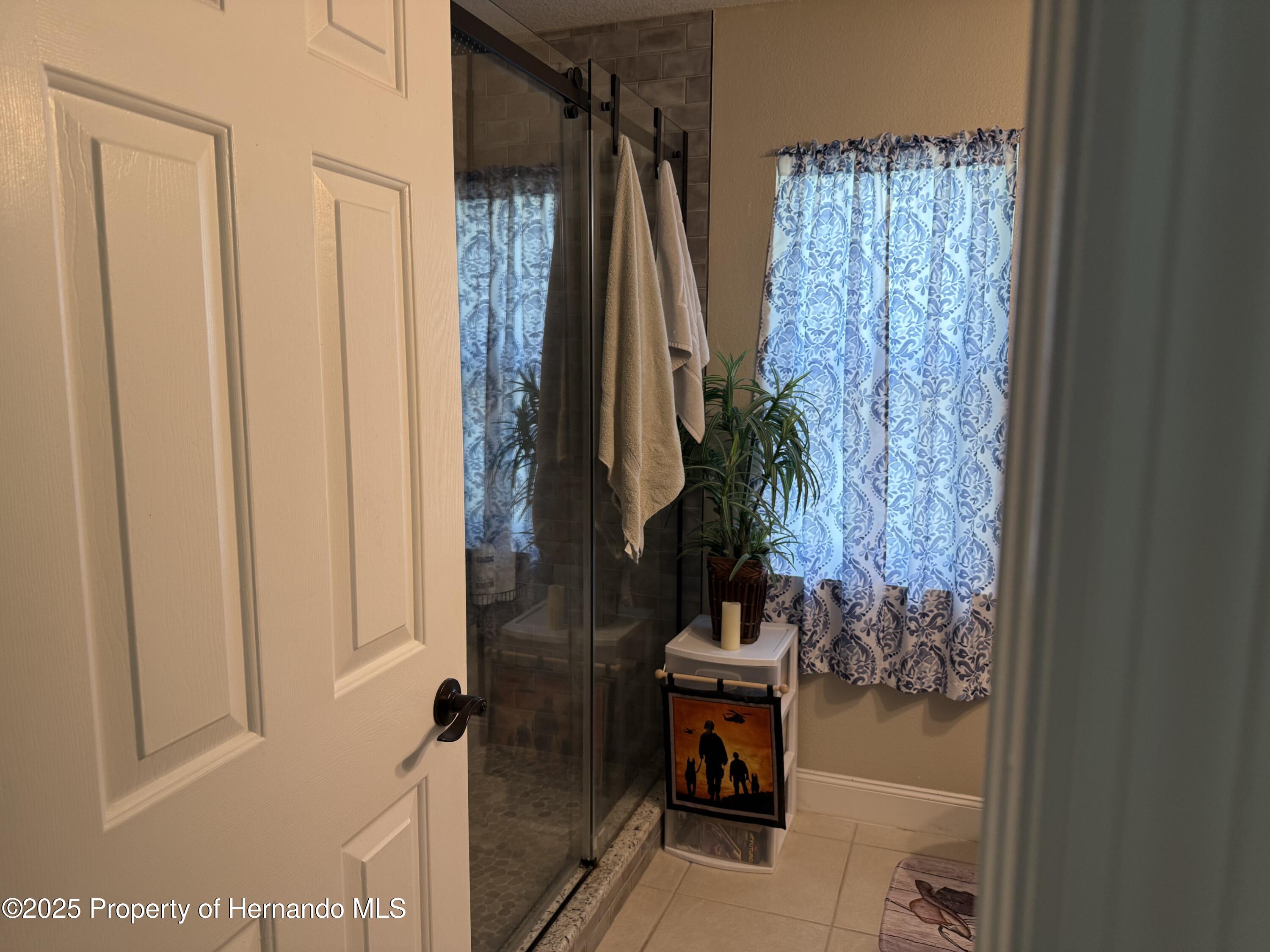 2069 Overbrook Lane, Spring Hill, Florida image 20