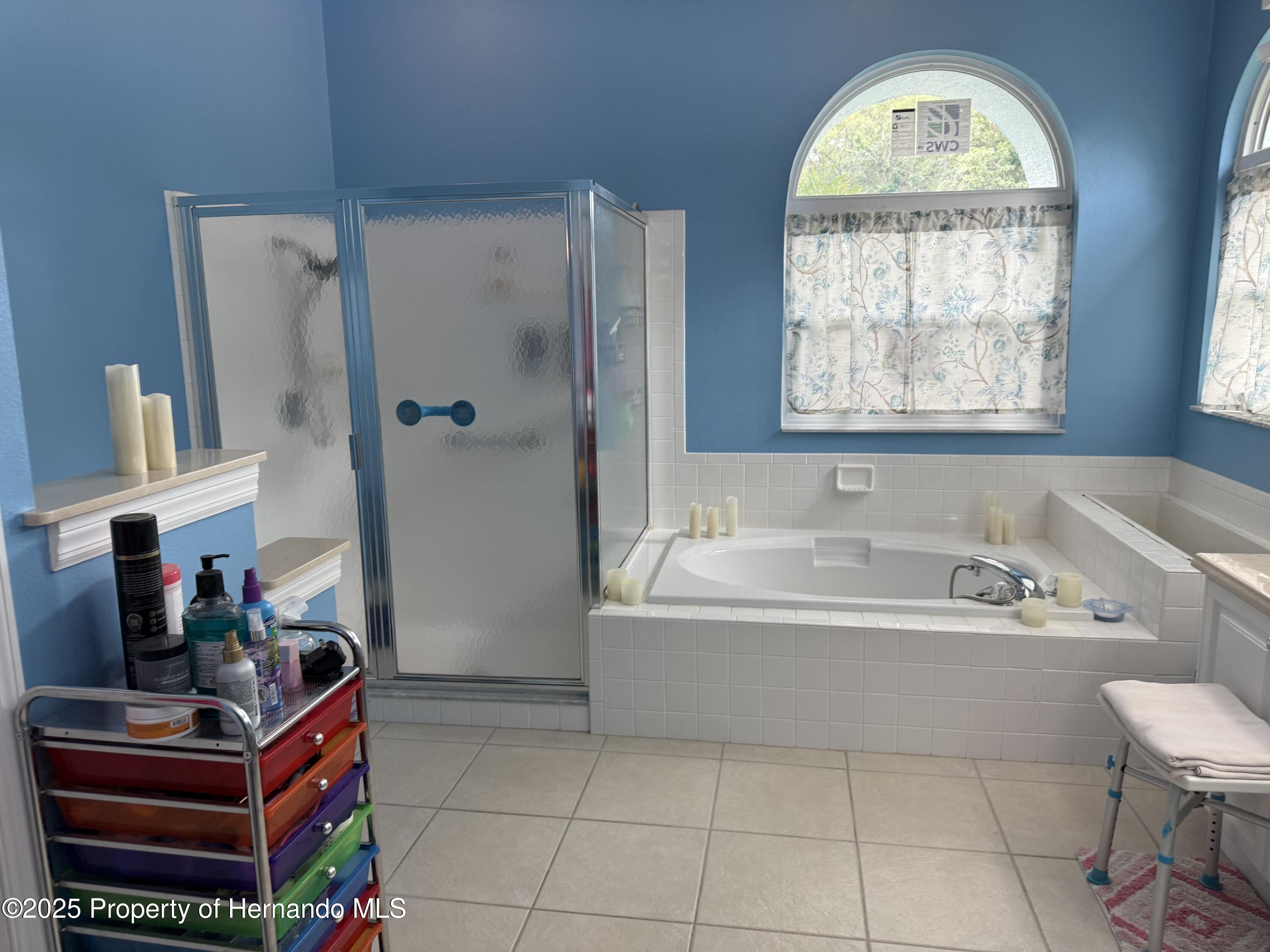 2069 Overbrook Lane, Spring Hill, Florida image 15